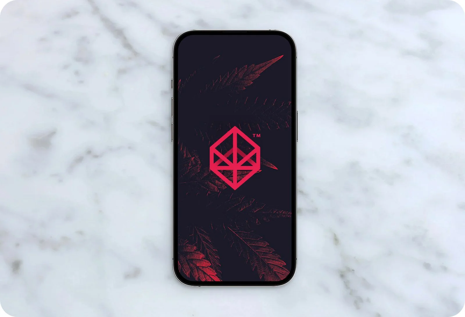 Databis Logo - Barnard Design Co