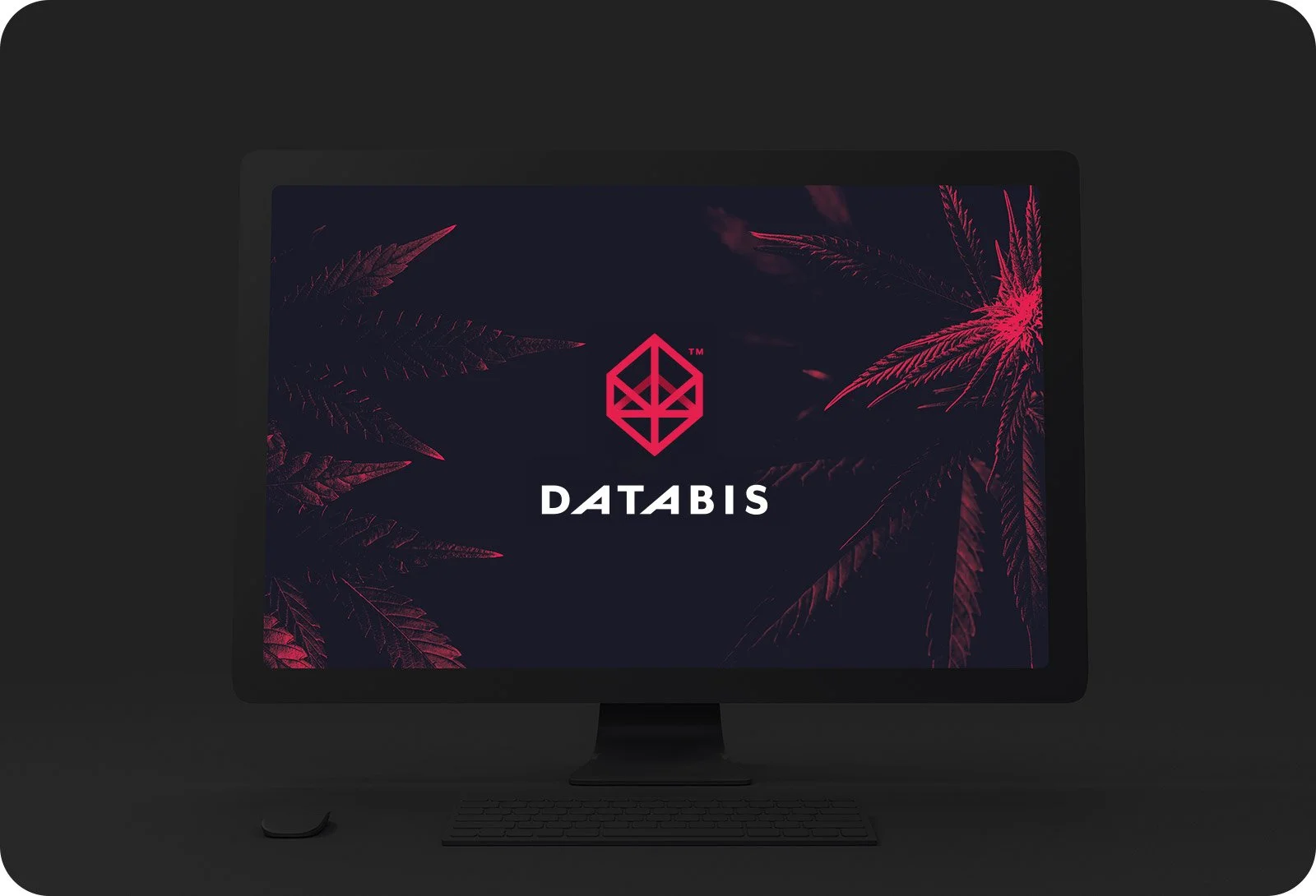 Databis Logo - Barnard Design Co