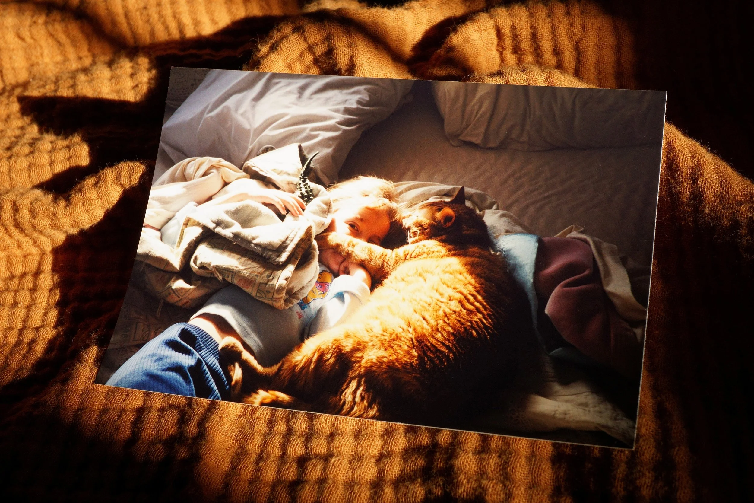 Comfort
