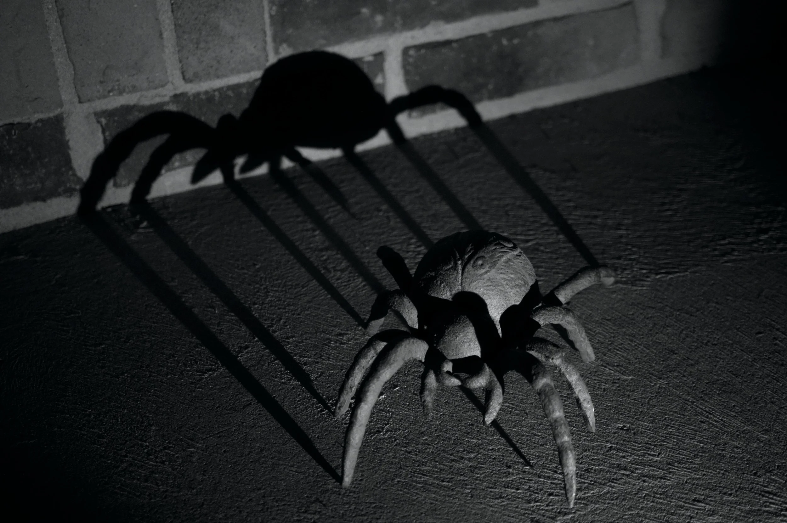 Spider Shadow