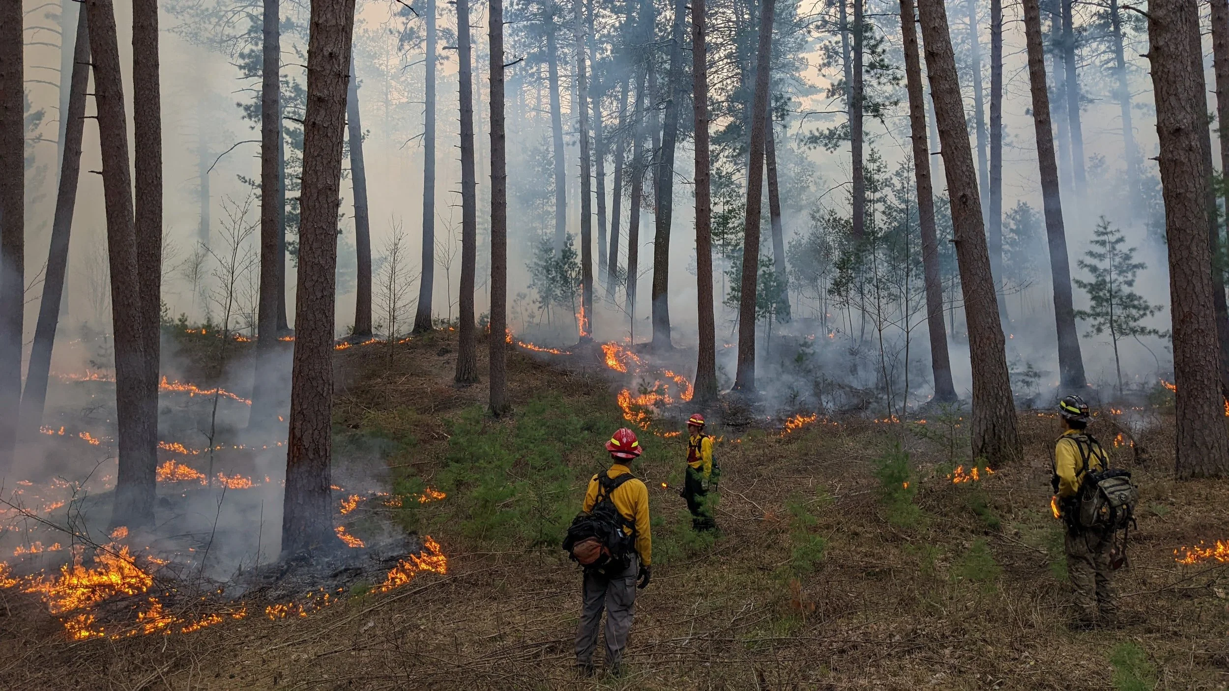 River Walk: Returning Good Fire to WI Point
