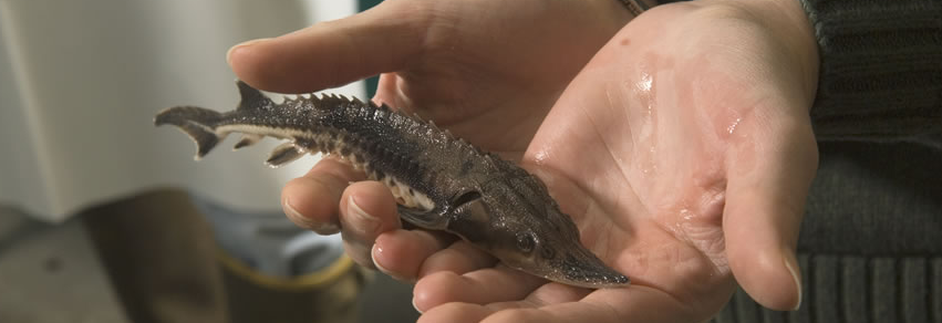 FOLSR 2026 Annual Membership Meeting