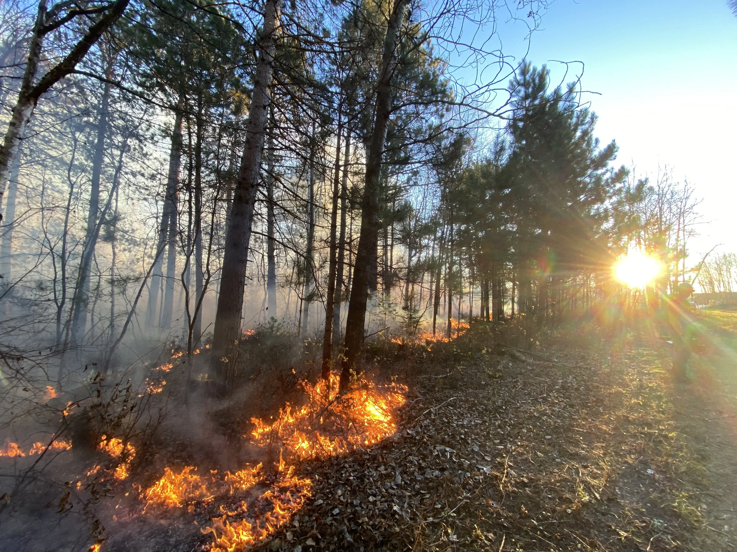 What’s New at the Reserve? Winter 2026