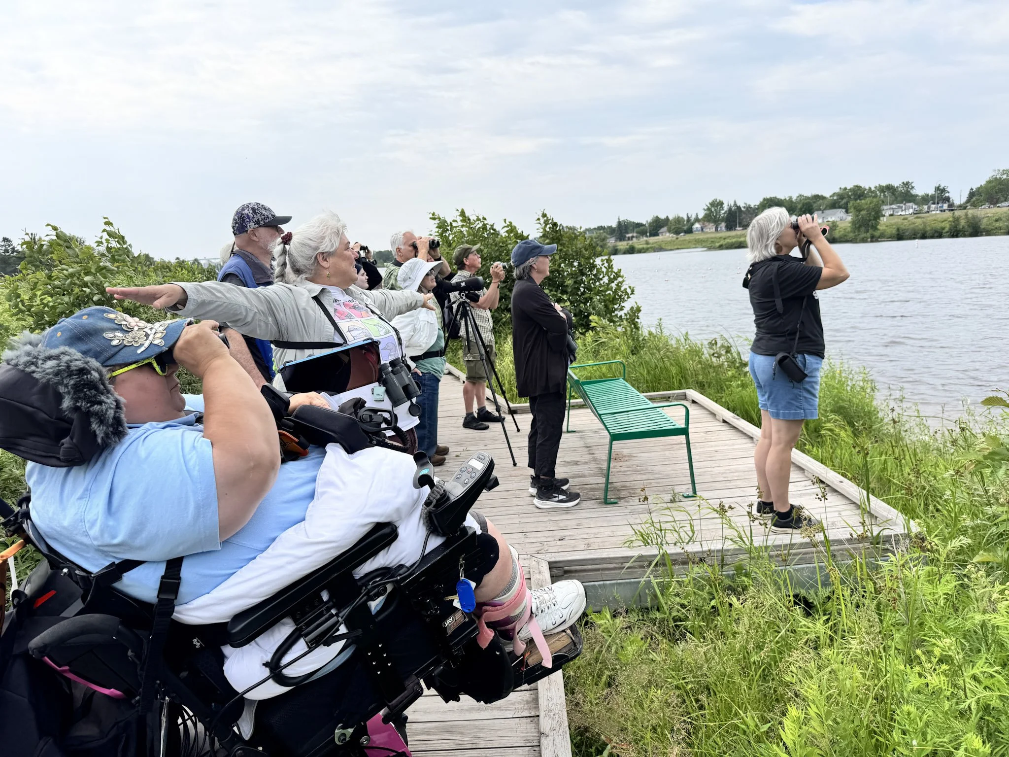 Birding on Barker’s Island
