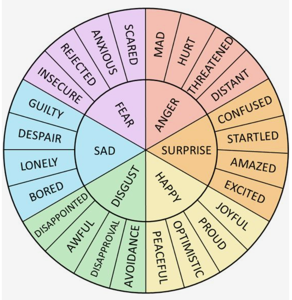 The Function of Emotions — Marigold Counseling