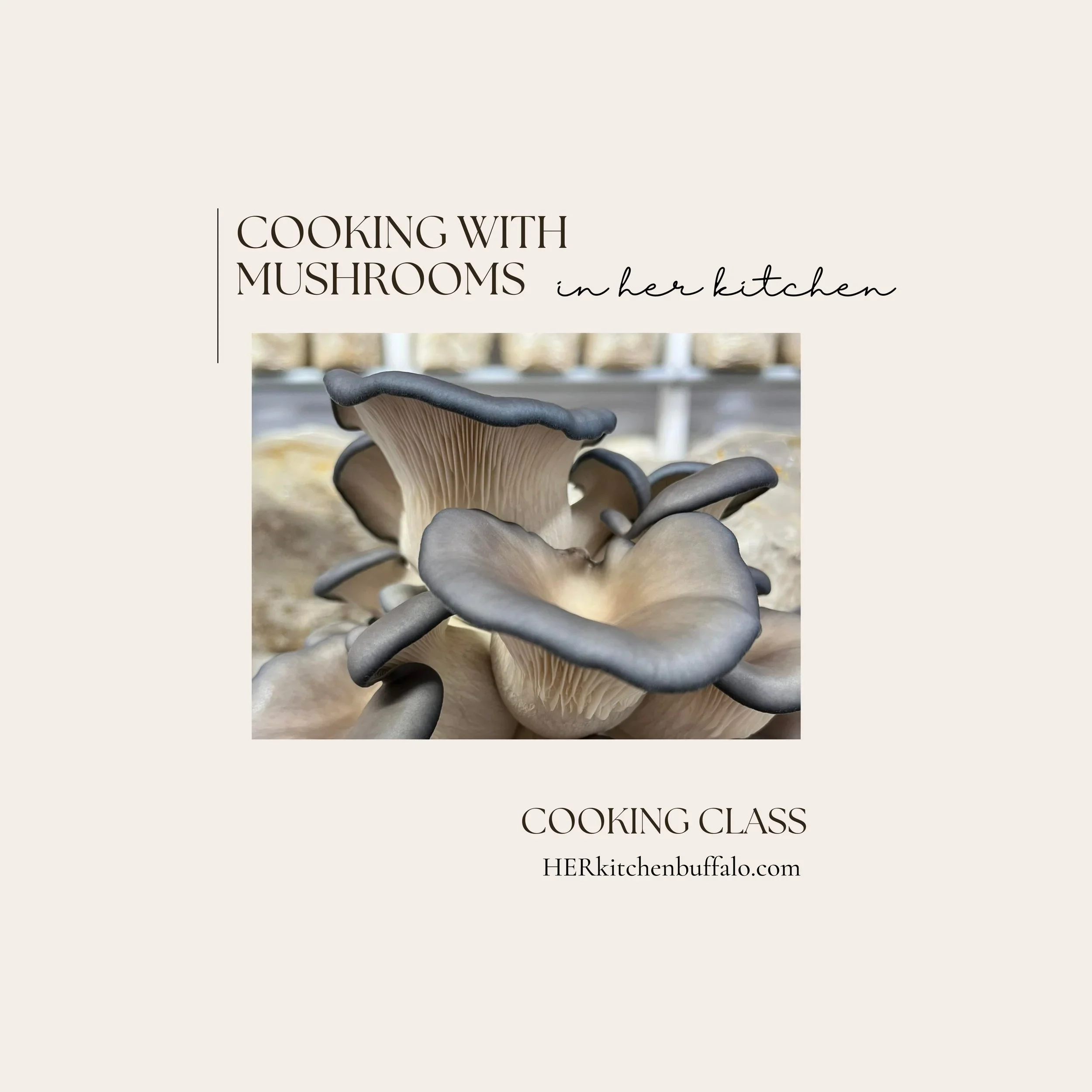 COOKING CLASS | Cooking with Local + Farm-Grown Mushrooms