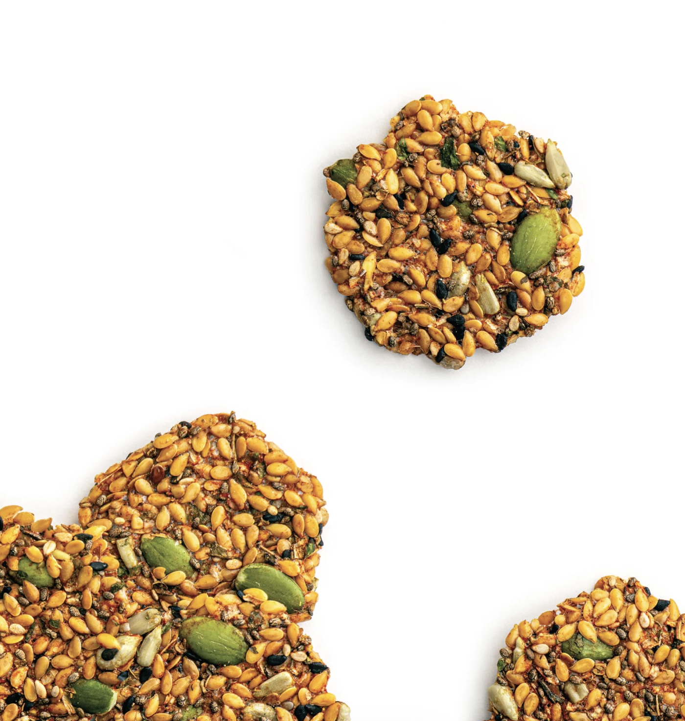 Screen Shot 2025-12-16 at 2.20.49 PM.png