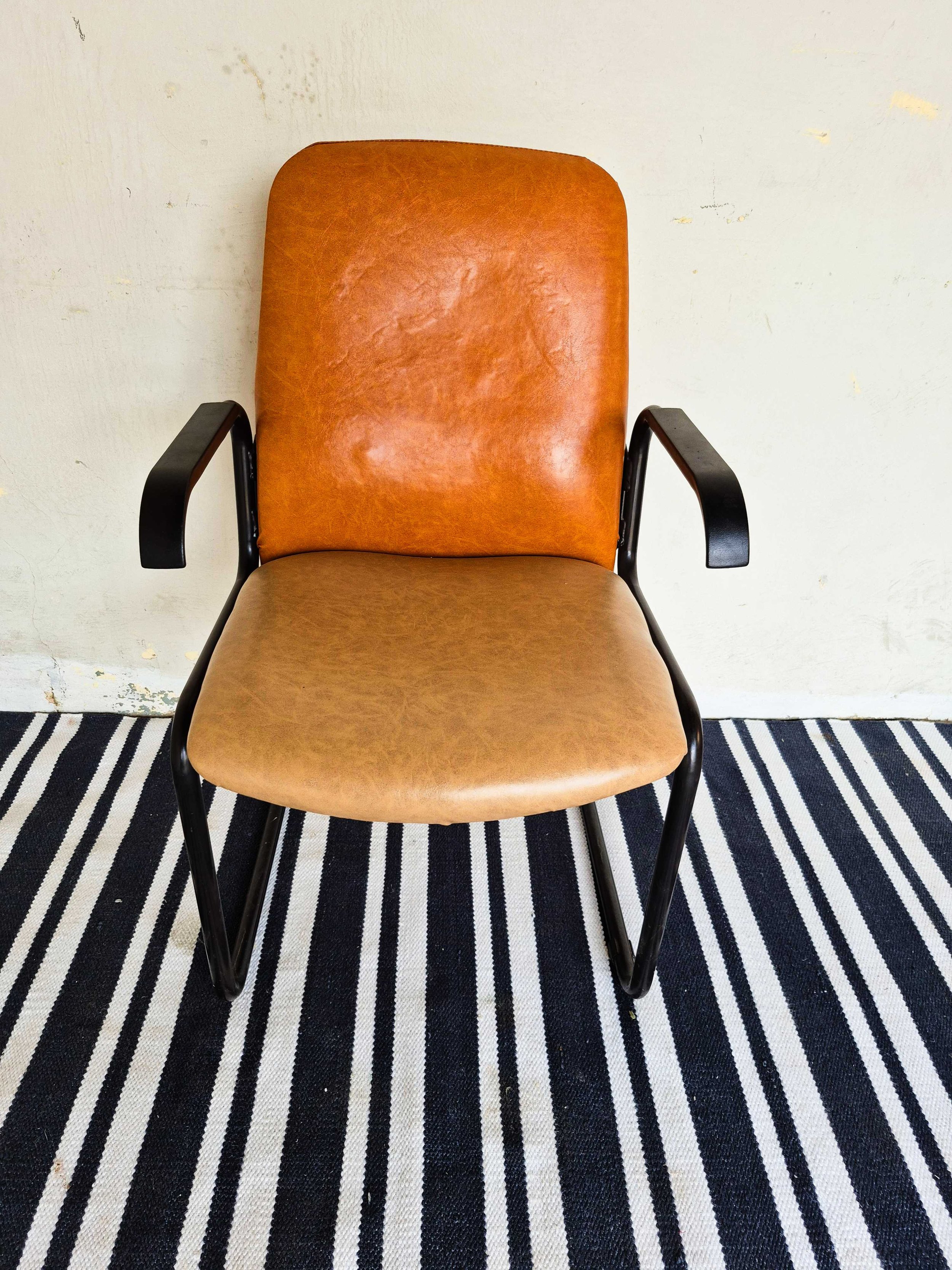 Brown Visitors - 01.jpg