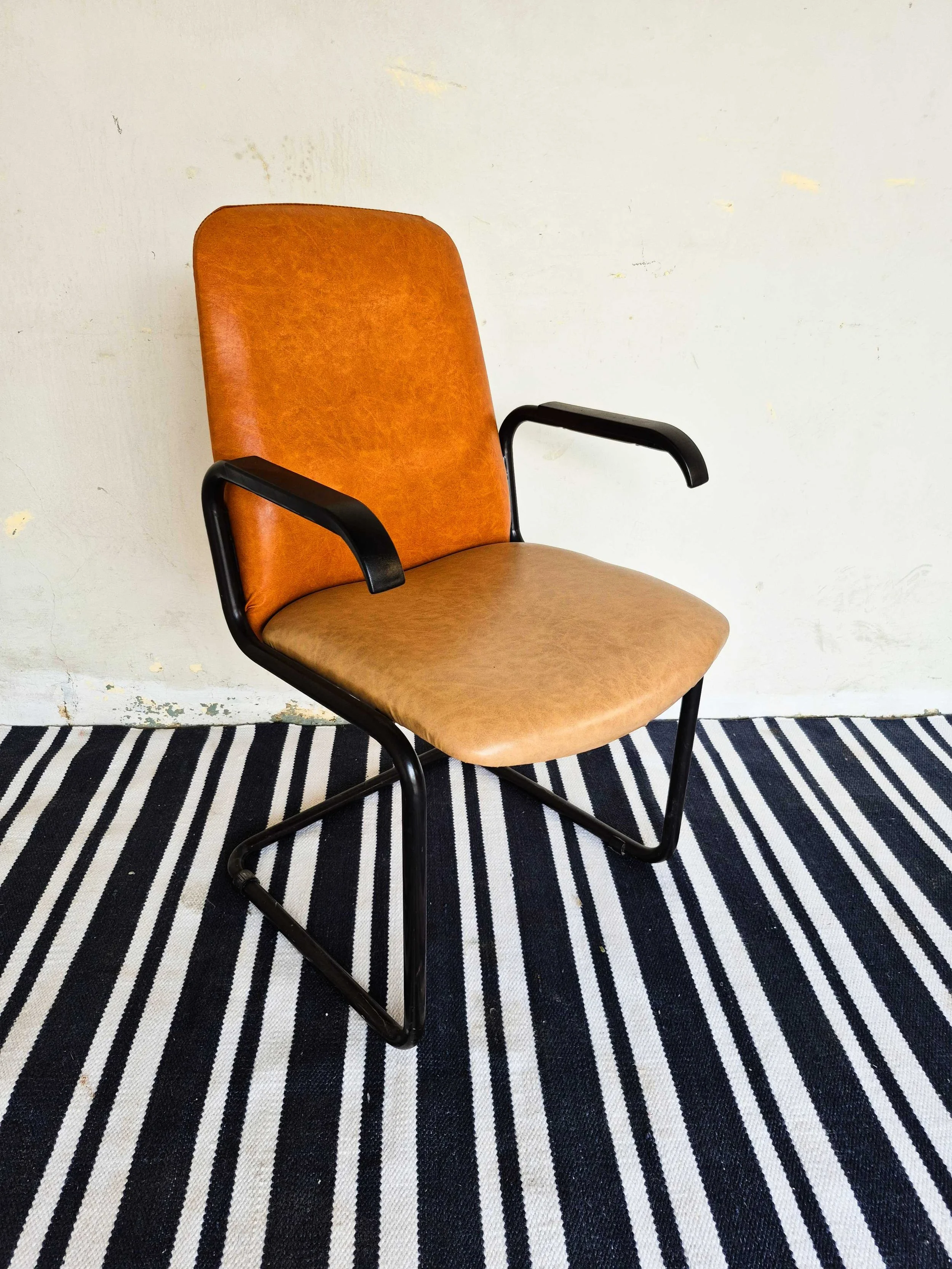 Brown Visitors - 03.jpg