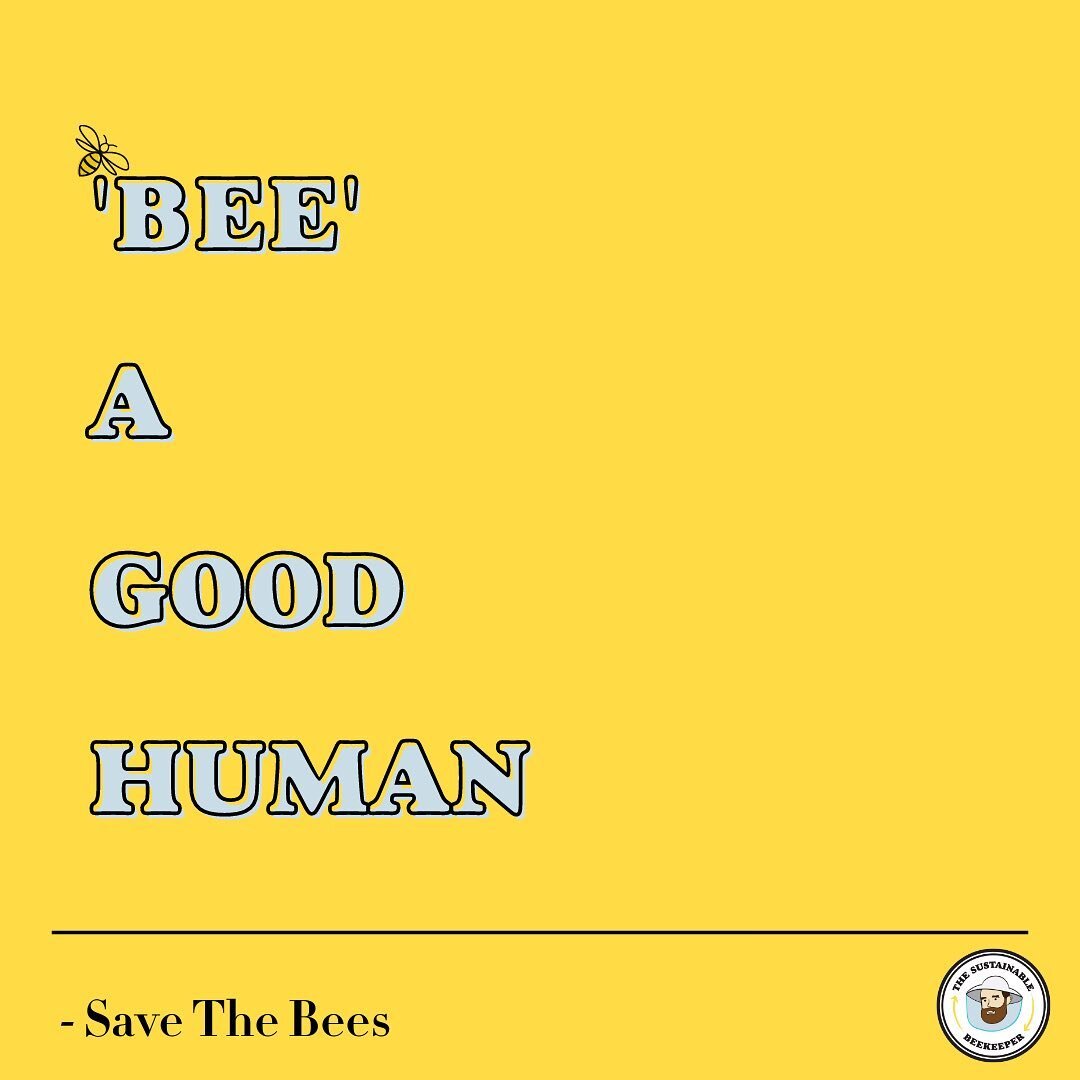 Bees are essential for our survival🐝

They pollinate much of what we eat and play a critical role in sustaining ecosystems around the world 🌎 

The last decade has been devastating for insect populations, and bees have been hit hard - with populati