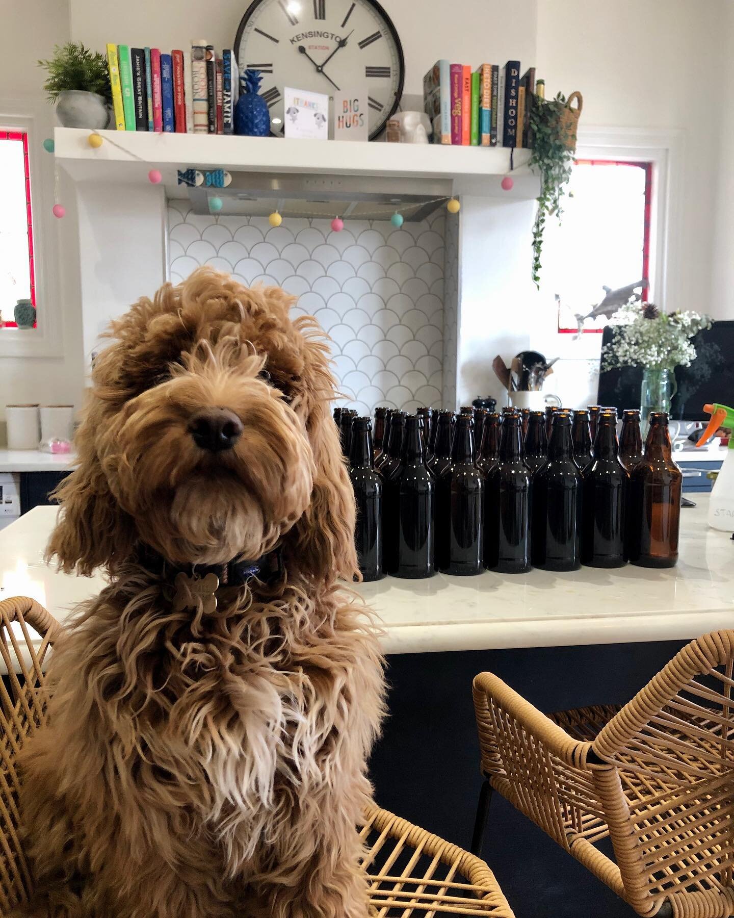 Lockdown 3.0 Home Brew 🍻

New year means new avenues, so we thought we&rsquo;d try our hand at brewing our very own IPA with the help of accomplished home brewer @agpryce ✌🏾

Unless Stan&rsquo;s cracking open a cold one every evening like his pal C