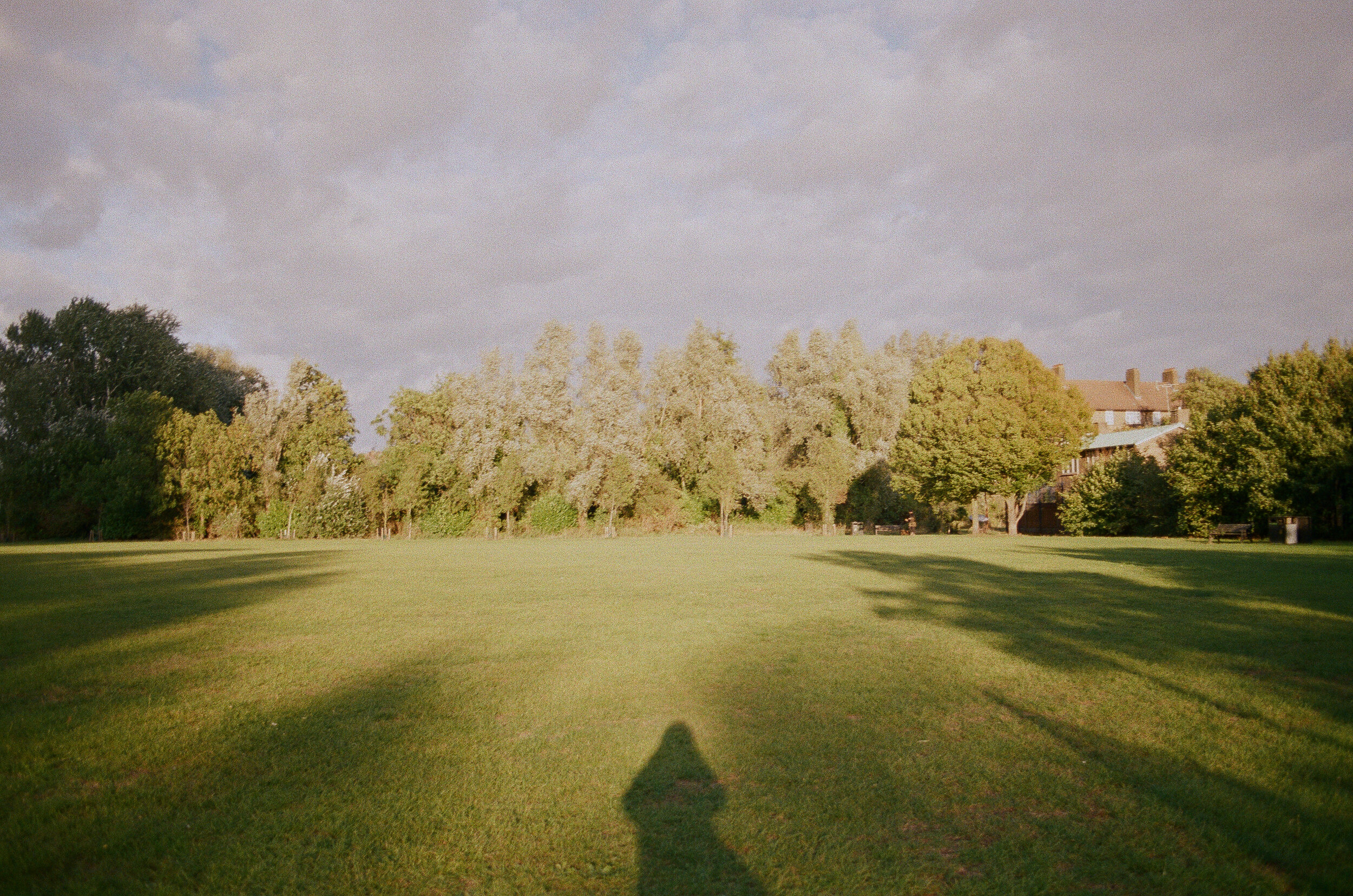  Daubeney Fields, forever 2020 