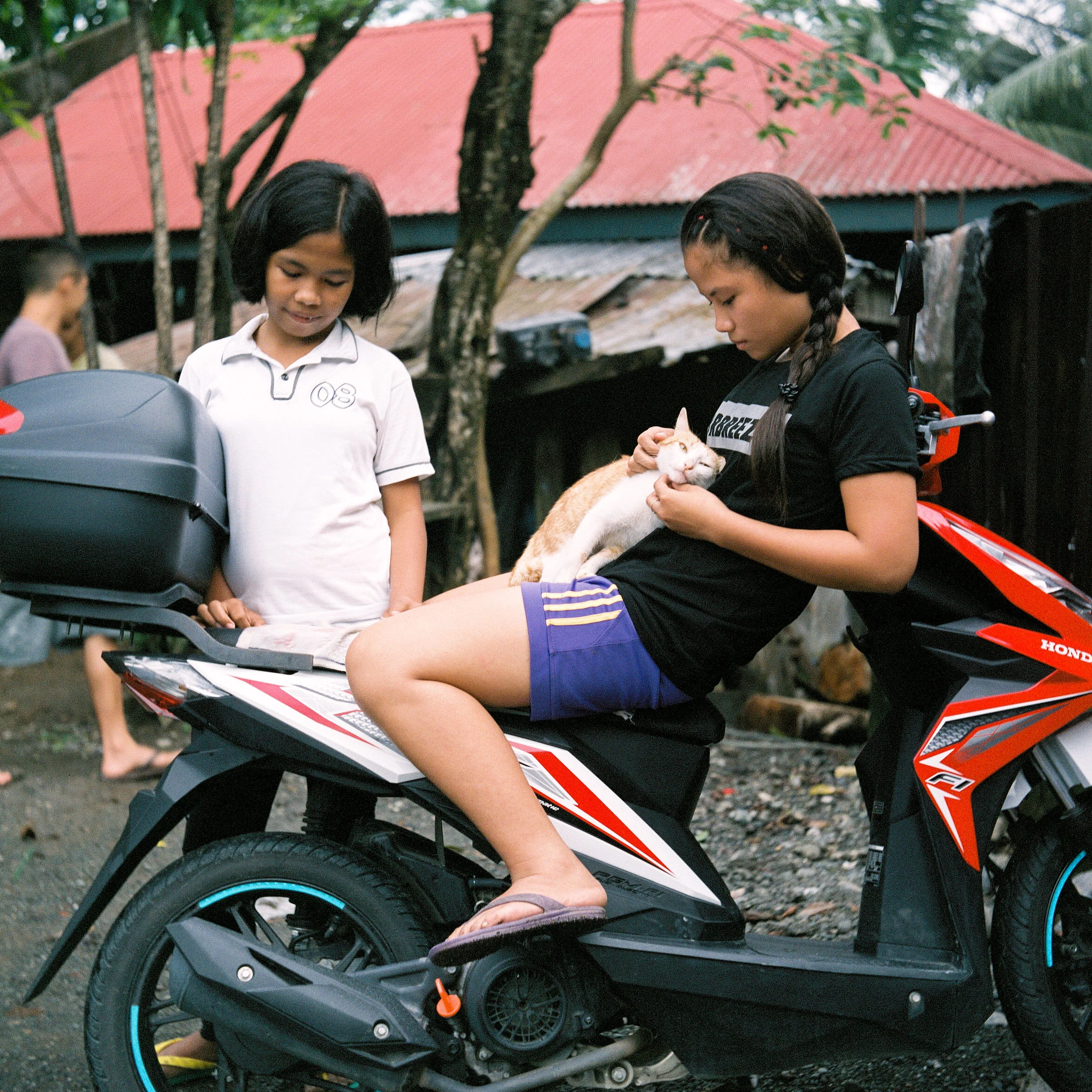  Angel and Zyrish, our neighbours 