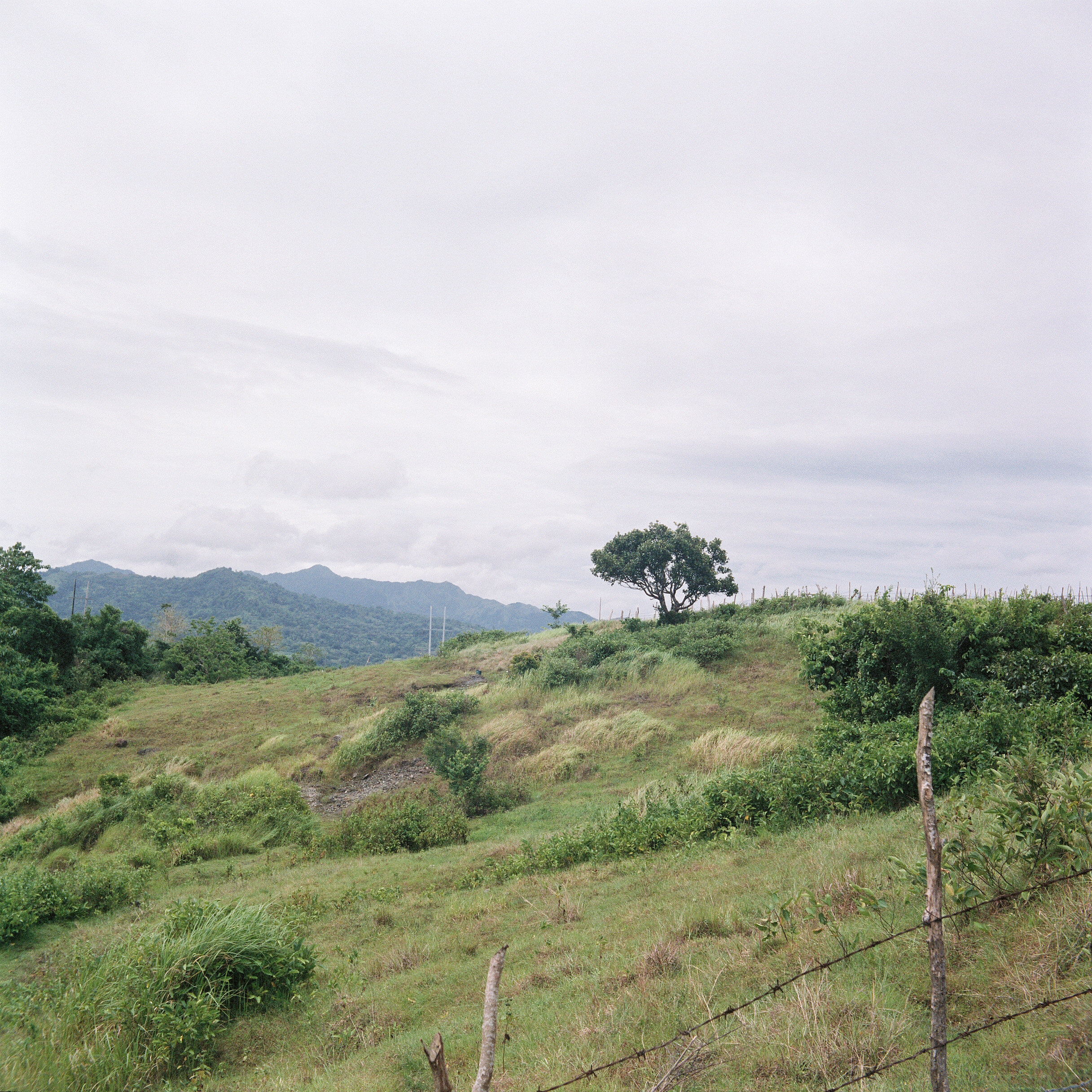  One day, Auntie Nora and I went a walk around the village and she showed me the land that used to be her parents’. Mud seeped between our toes, and we walked together through the fields. 