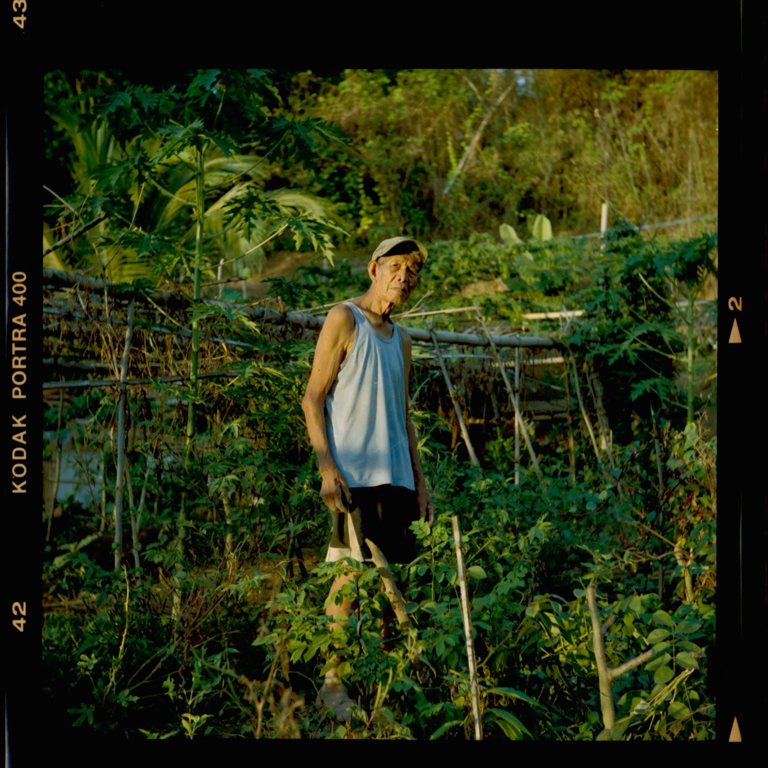 Lolo Jaime Portrait.jpg