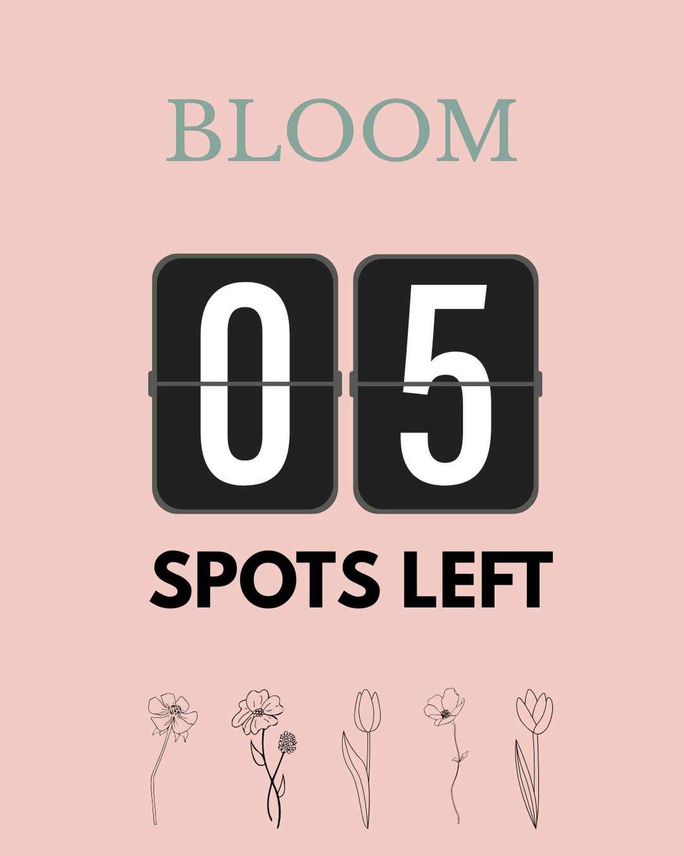 Only 5 spots left for this awesome confidence building event. April 25, from 1-4, sign up link in bio. For middle school girls. Share this post with someone who has a middle school girls!