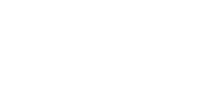 Mountainsoft Technologies