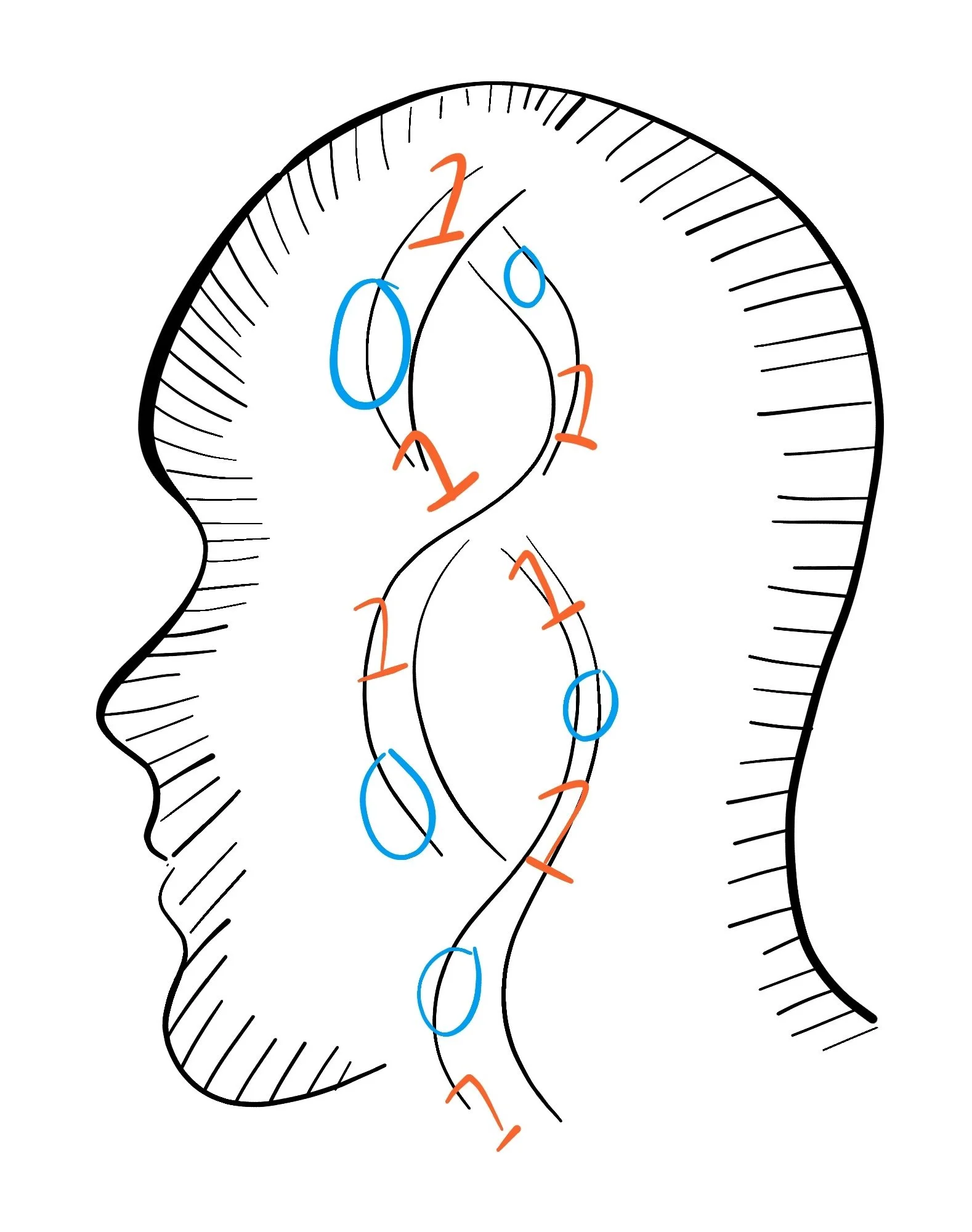 The exotic prospect of DNA storage has a long way to go