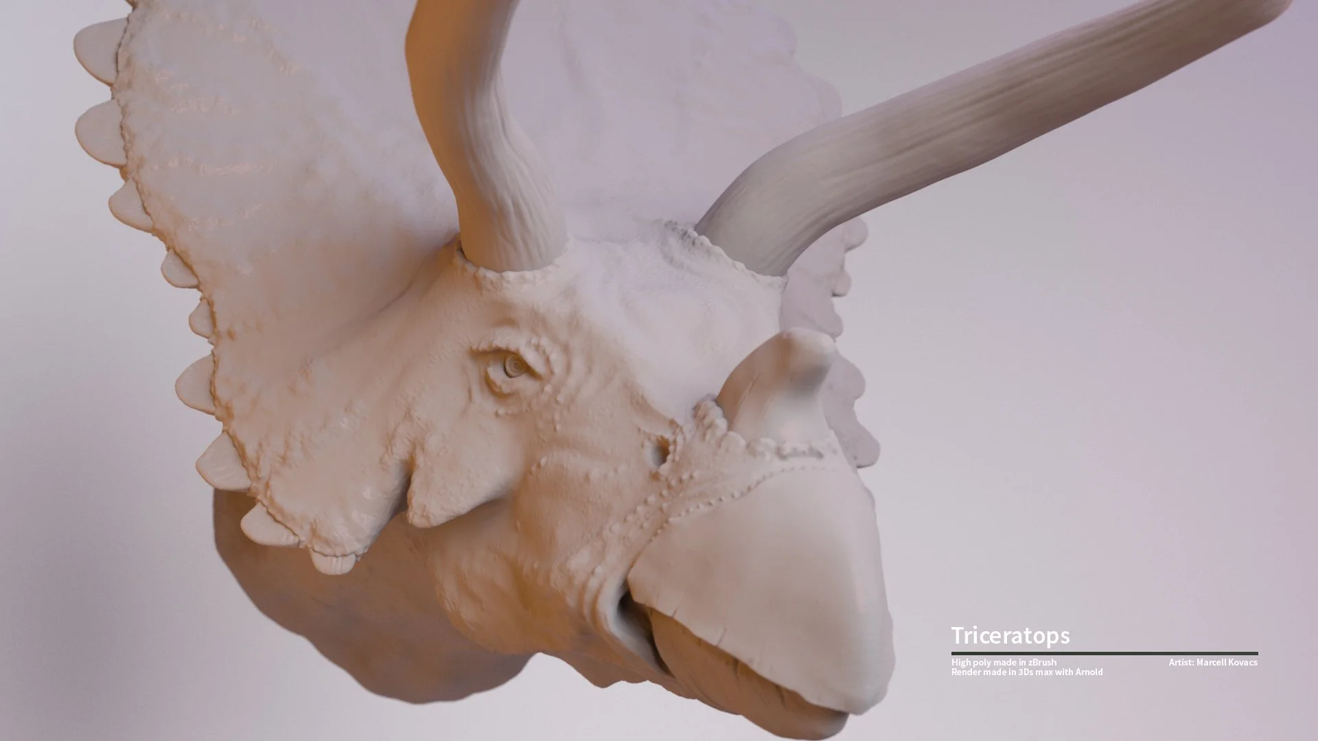 Triceratops_Render_close_up_front.jpg