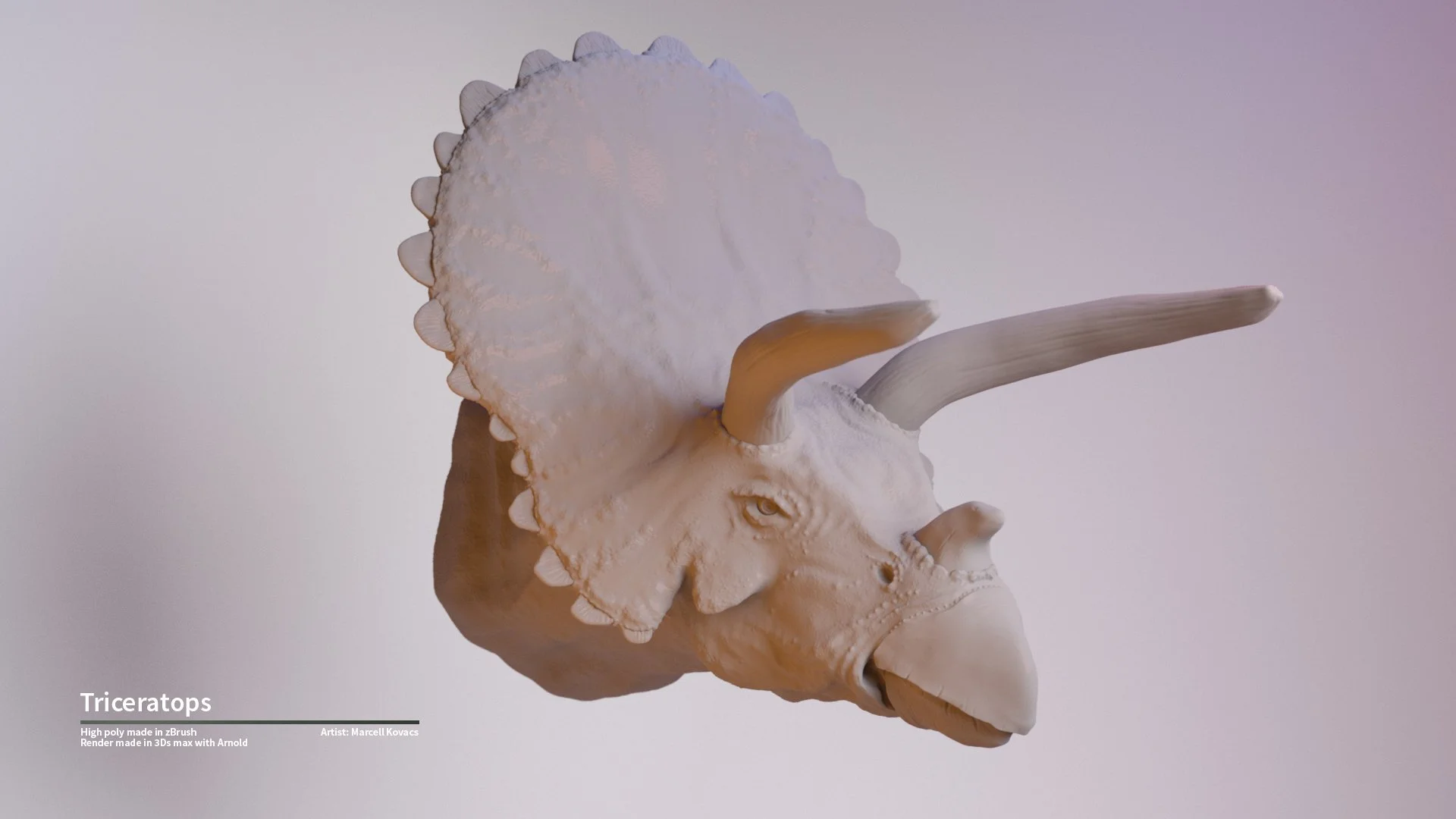 Triceratops_Render_side_q.jpg