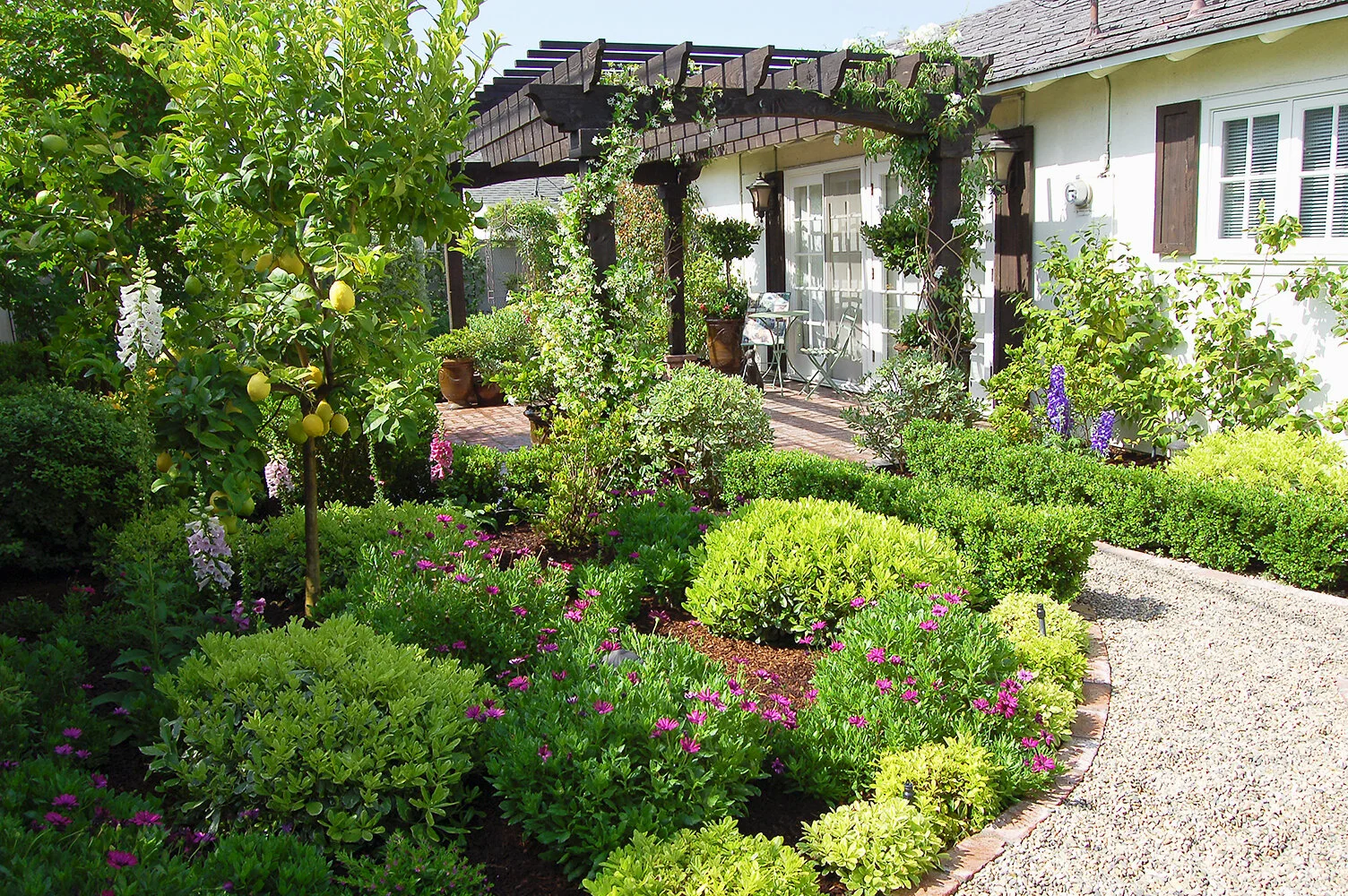 Lush garden with a lemon tree, flowering plants, and a wooden arbor in front of a house.