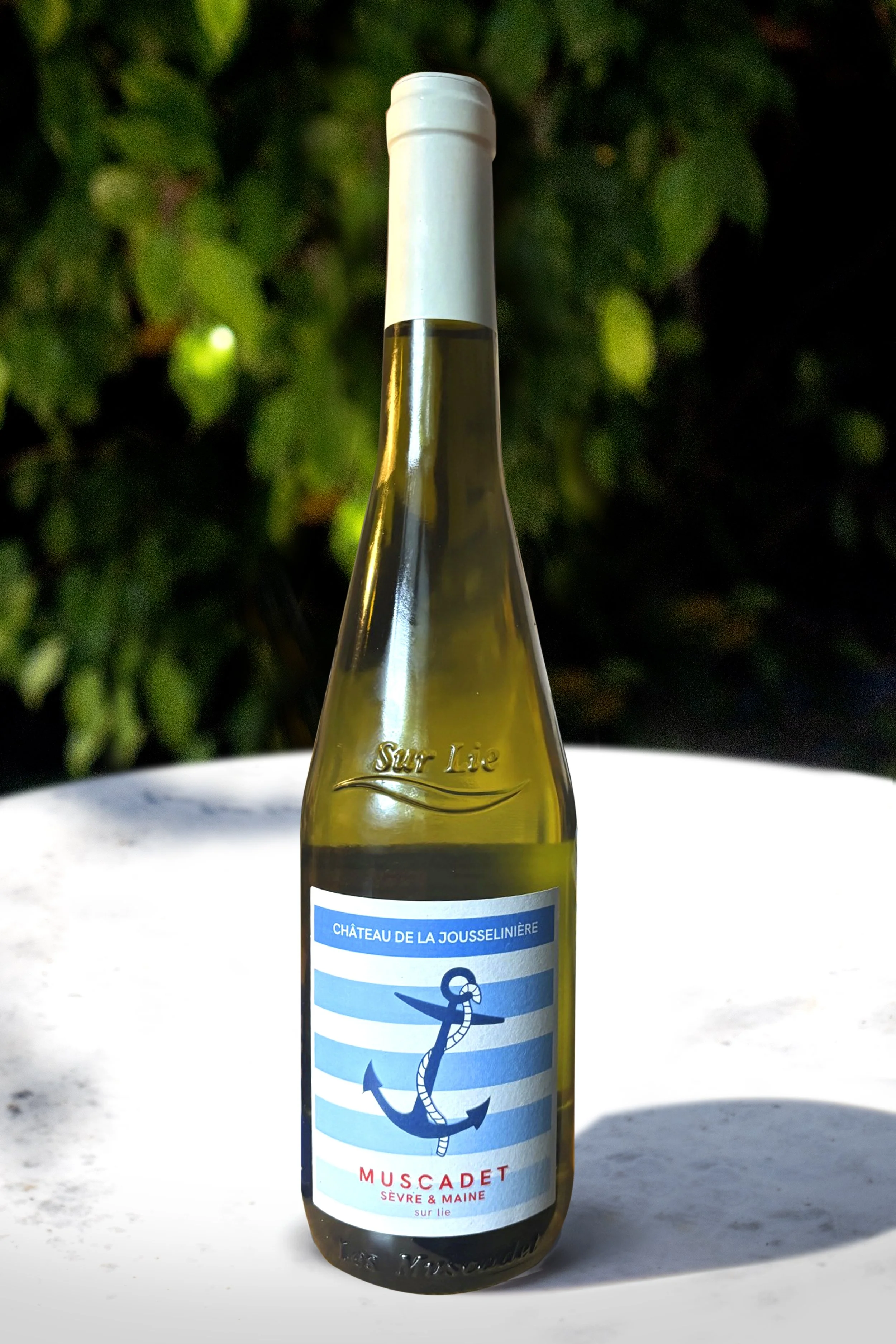 GilbertChon_Muscadet2024.jpg