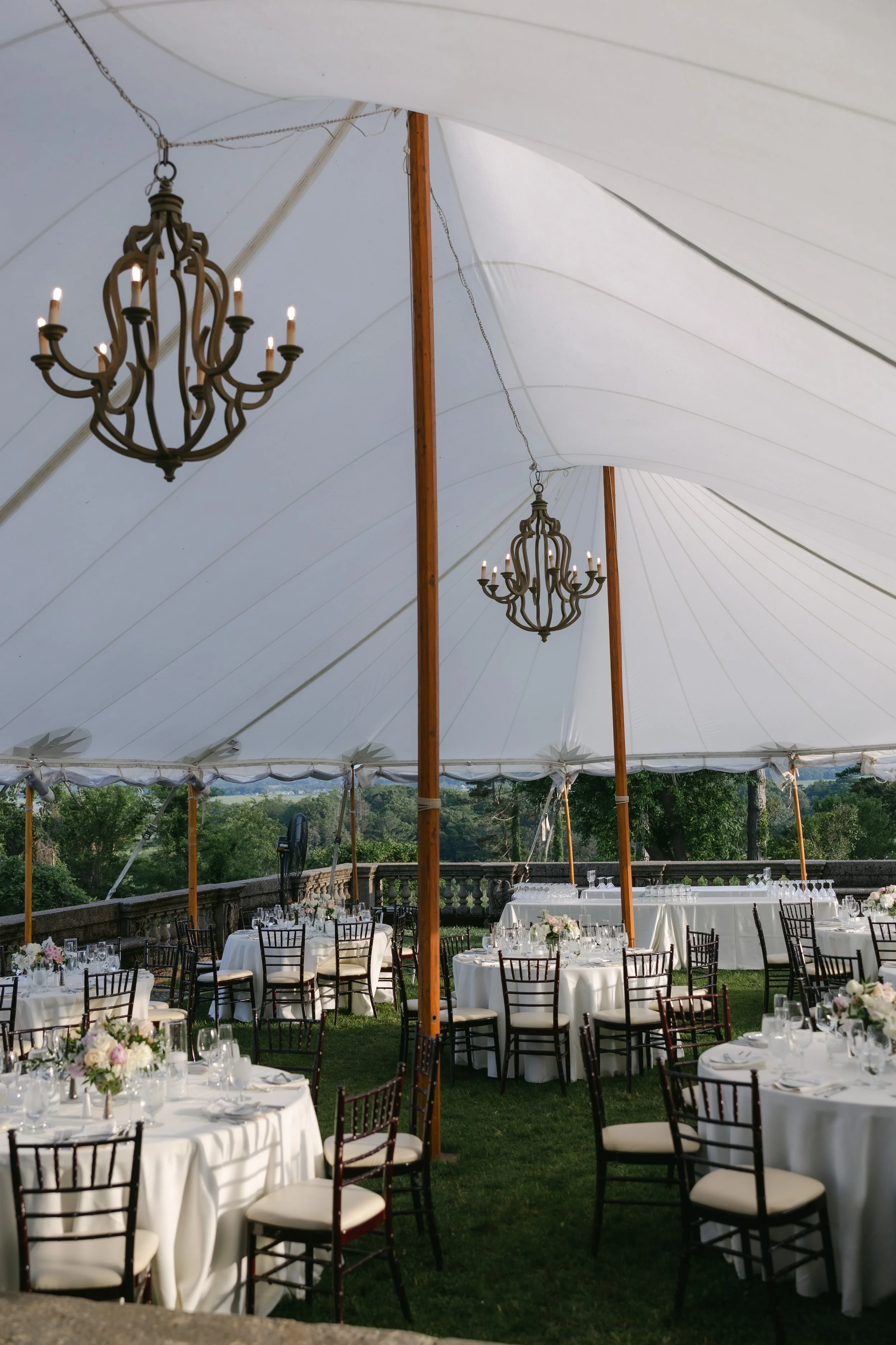 Chris & Mickey-723 (1).jpg