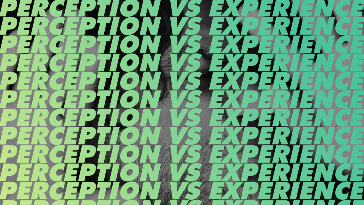 PERCEPTION VS EXPERIENCE