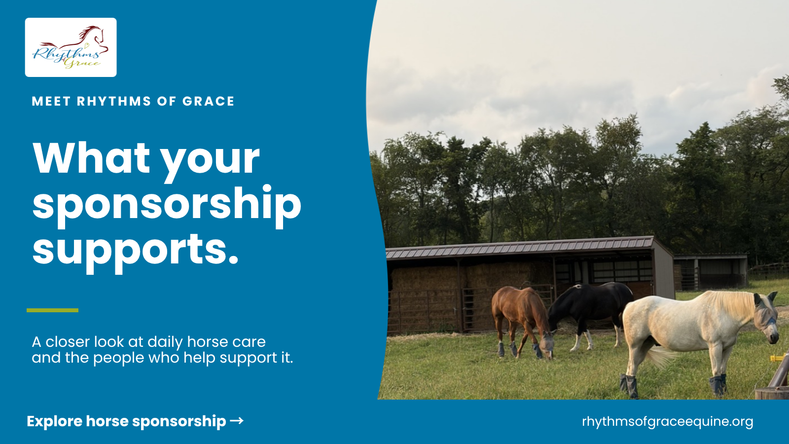 What your sponsorship supports: three horses grazing in a pasture beside a hay barn at Rhythms of Grace.
