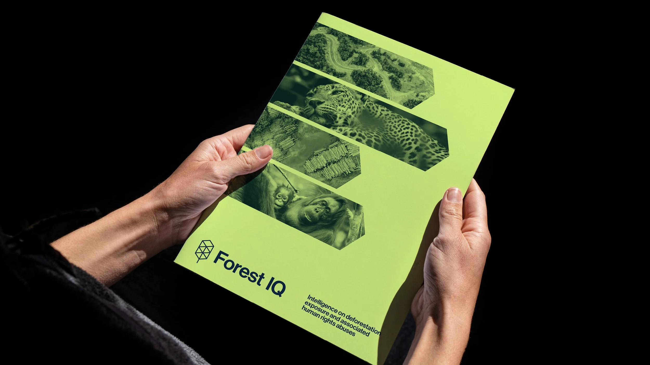 Forest IQ