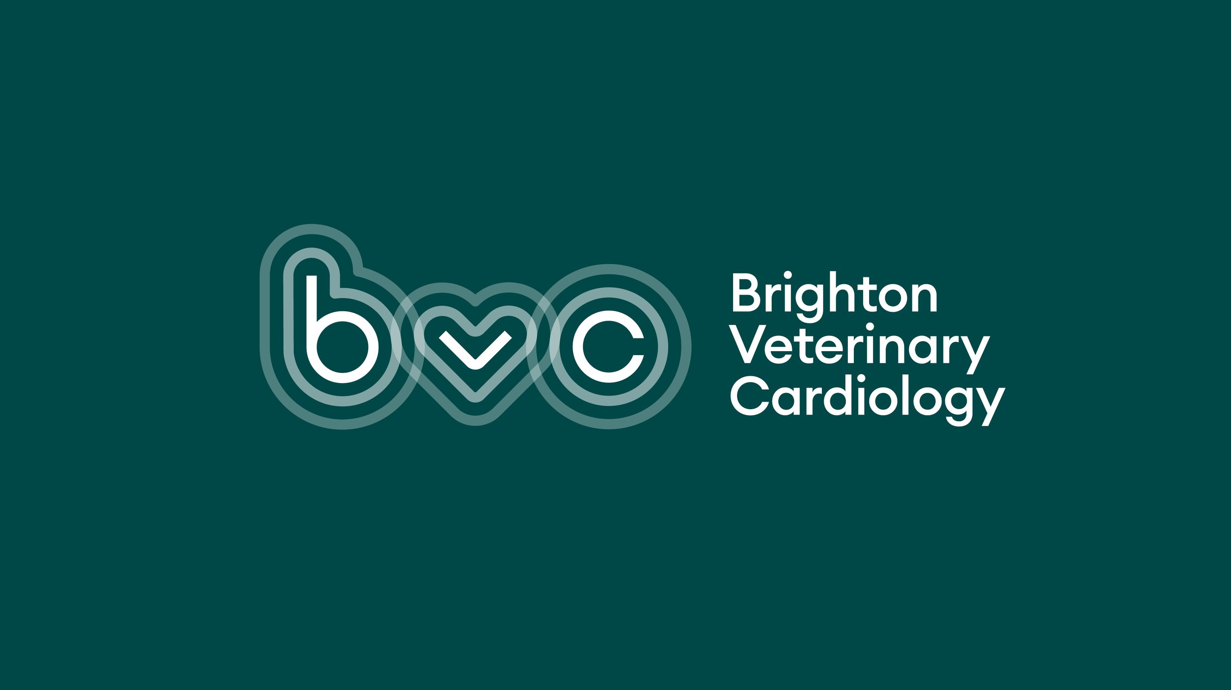 BVC_Case study.jpg