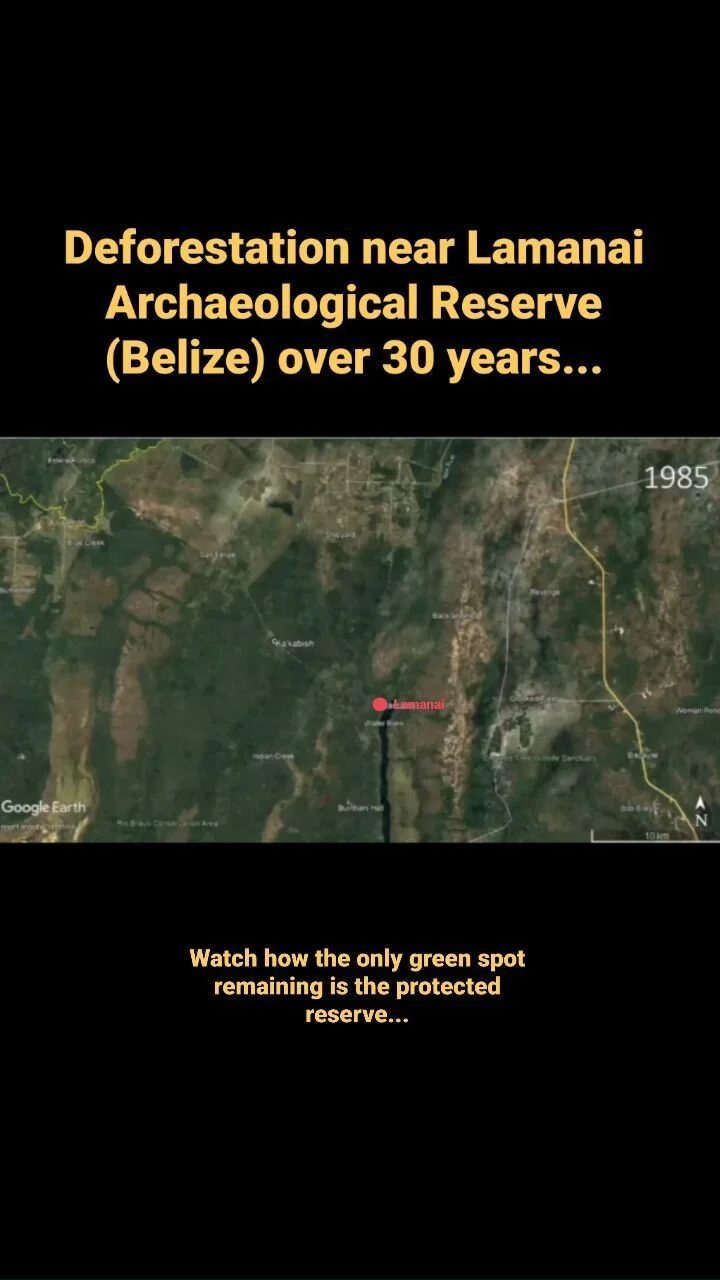 Who are We — Heritage Education Network Belize