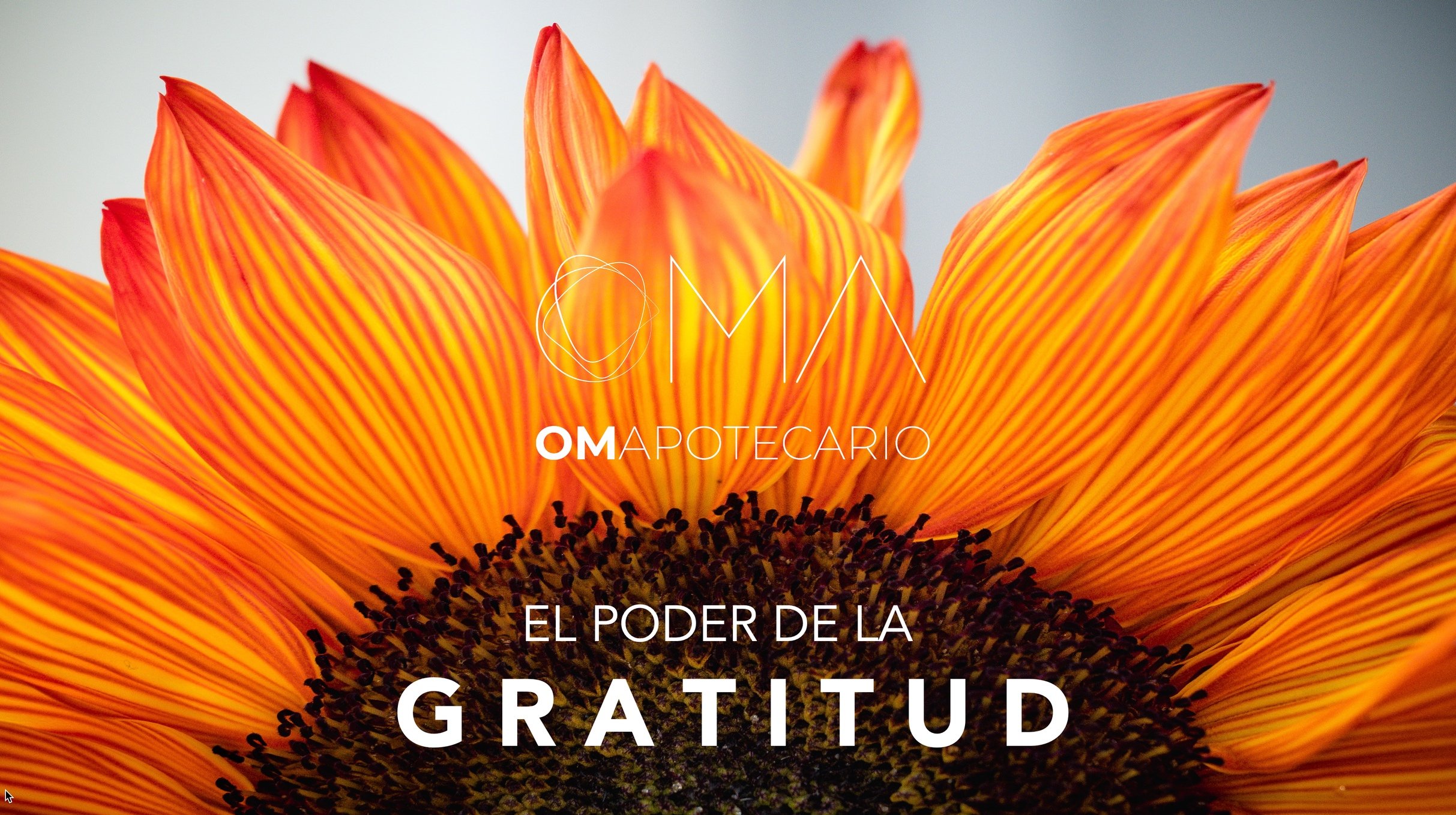 Discover the innate power of being on a gratitute state every day of your life. At the end of the workshop, a practice is carried out to put gratitude into action in your daily life.