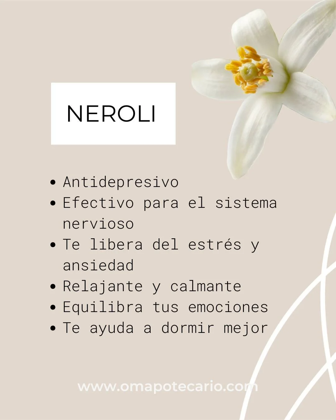 Cu&aacute;ntas veces nos sentimos estresados y ansiosos!!?
Te cuento que el NEROLI, es uno de los principales aceites que contiene nuestro producto TOP de la marca de OMAPOTECARIO.

💜 Sweet Dreams Mist, tiene una combinaci&oacute;n de 5 aceites esen