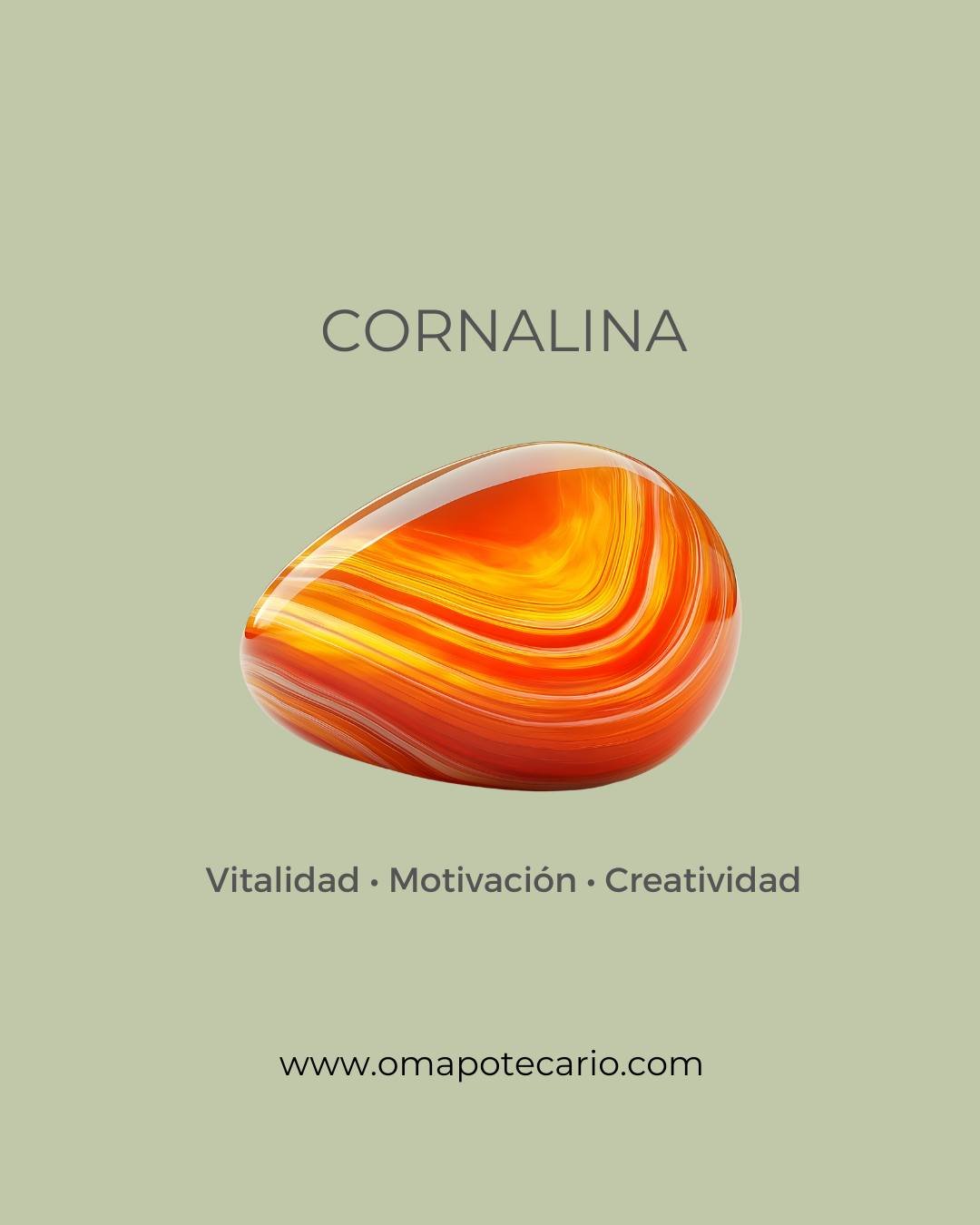 Agrega a tus d&iacute;as una dosis natural de energ&iacute;a! La vibraci&oacute;n de la cornalina en la potencia de la f&oacute;rmula de Wake Up, te ayudar&aacute; a completar trabajos, tener mayor rendimiento, creatividad y vitalidad a lo largo del 