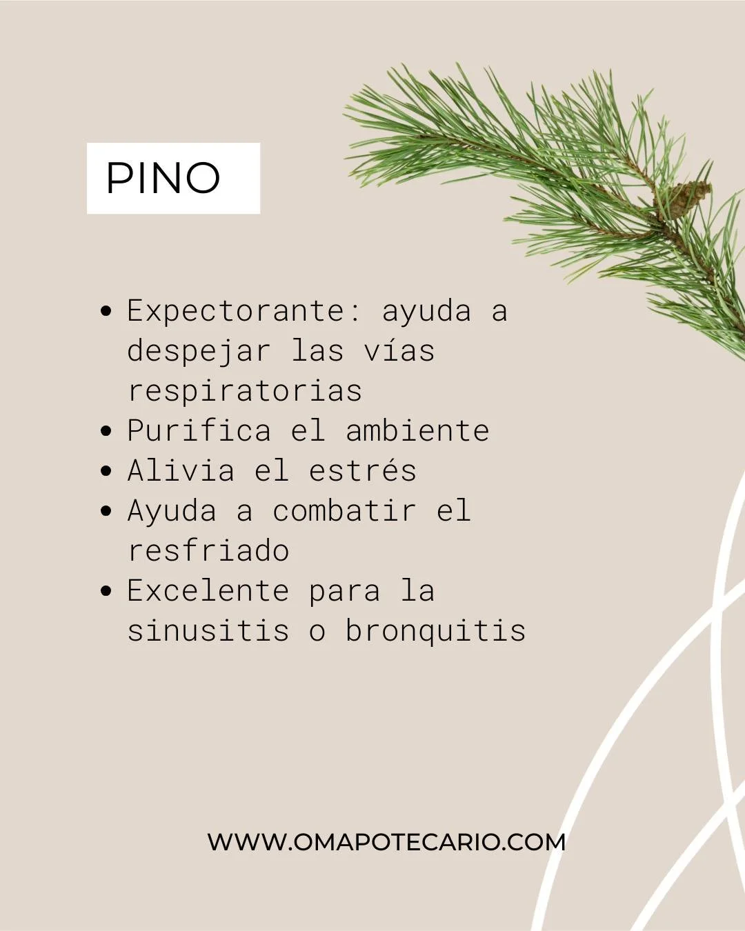 🌲 El aceite esencial de Pino tiene m&uacute;ltiples propiedades que van m&aacute;s all&aacute; de solo disfrutar el aroma rico de Navidad!

🌲 Aprovecha su uso para que no solo aromatices tu espacio, sino que recibas los beneficios de esta m&aacute;