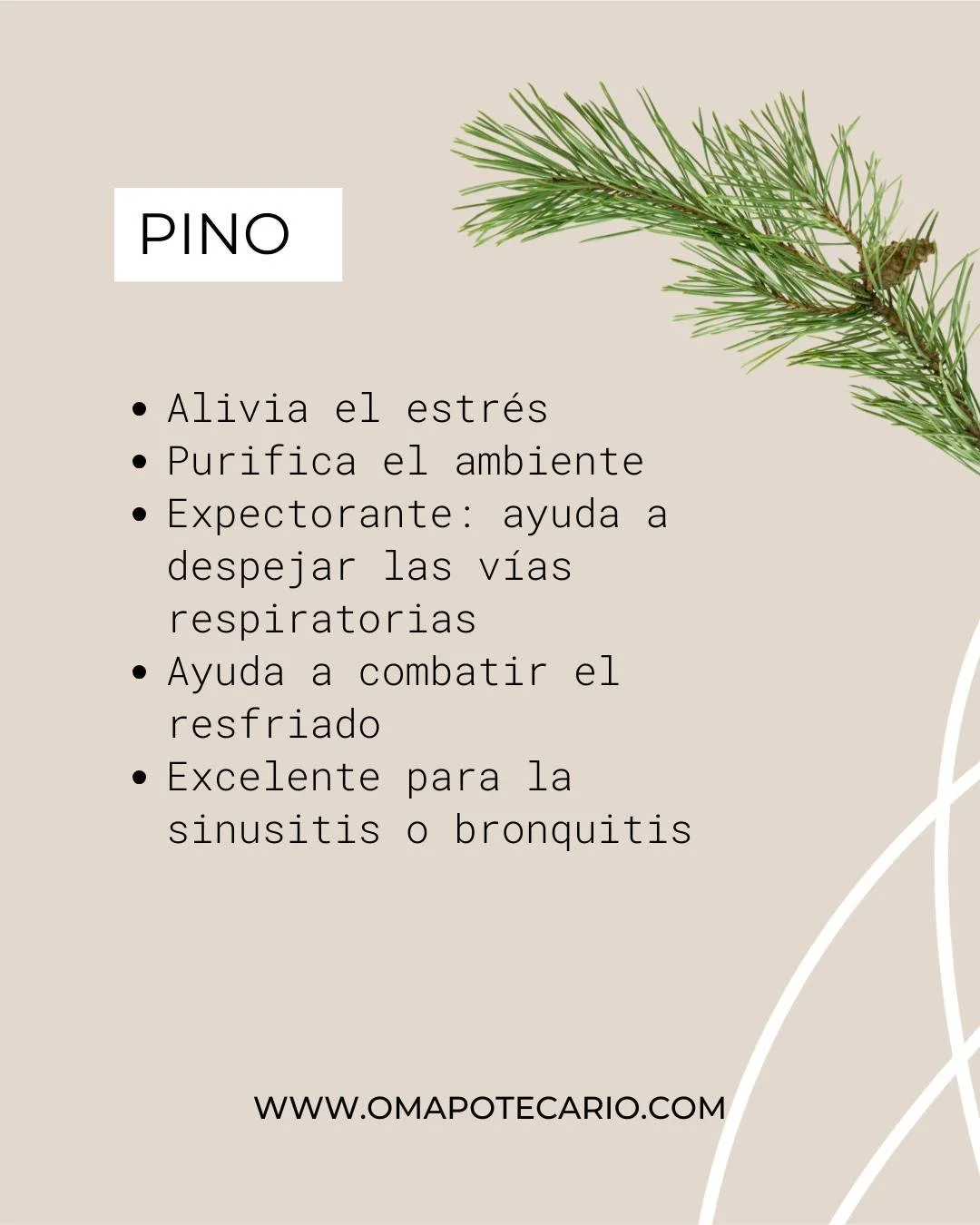 🌲 El aceite esencial de Pino tiene m&uacute;ltiples propiedades que van m&aacute;s all&aacute; de solo disfrutar el aroma rico de Navidad!

🌲 Aprovecha su uso para que no solo aromatices tu espacio, sino que recibas los beneficios de esta m&aacute;