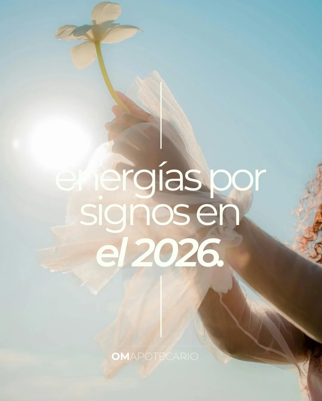 El 2026 nos invita a iniciar con intenci&oacute;n y conciencia ✨
Cada signo recibe una energ&iacute;a particular para crecer, sanar y manifestar 🌿
🔮 Conecta con tu cristal de la suerte
✨ Repite tu mantra
🌙 Honra tu ritmo
&iquest;Cu&aacute;l es tu 