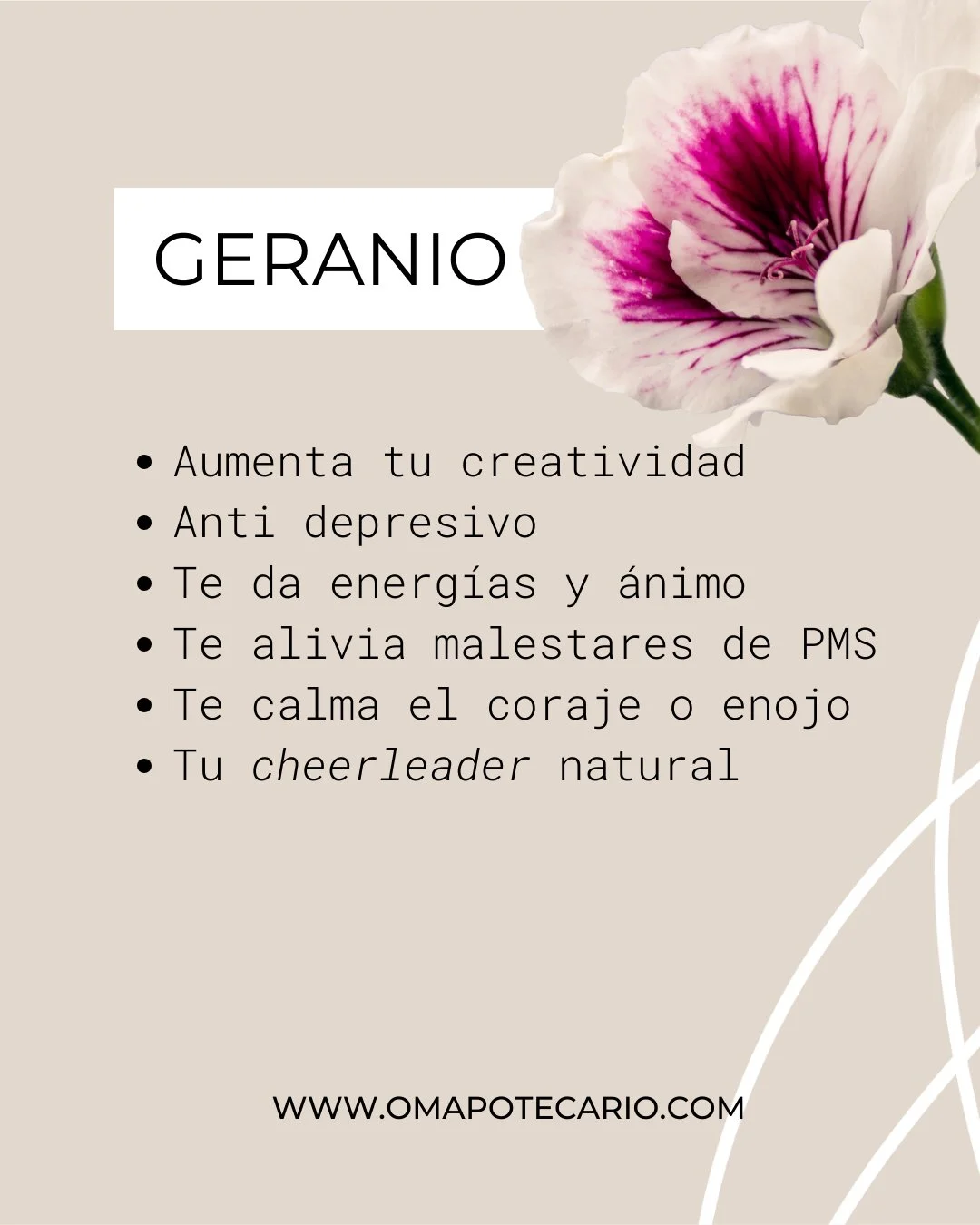 🙌🏼 Expande tu energ&iacute;a, calibra tus emociones y levanta el &aacute;nimo! Porque en cada f&oacute;rmula se trabaja con la energ&iacute;a y vibraci&oacute;n de los cristales de cuarzo.

🧡 El Wake Up Mist, contiene cristales de cornalina, y es 