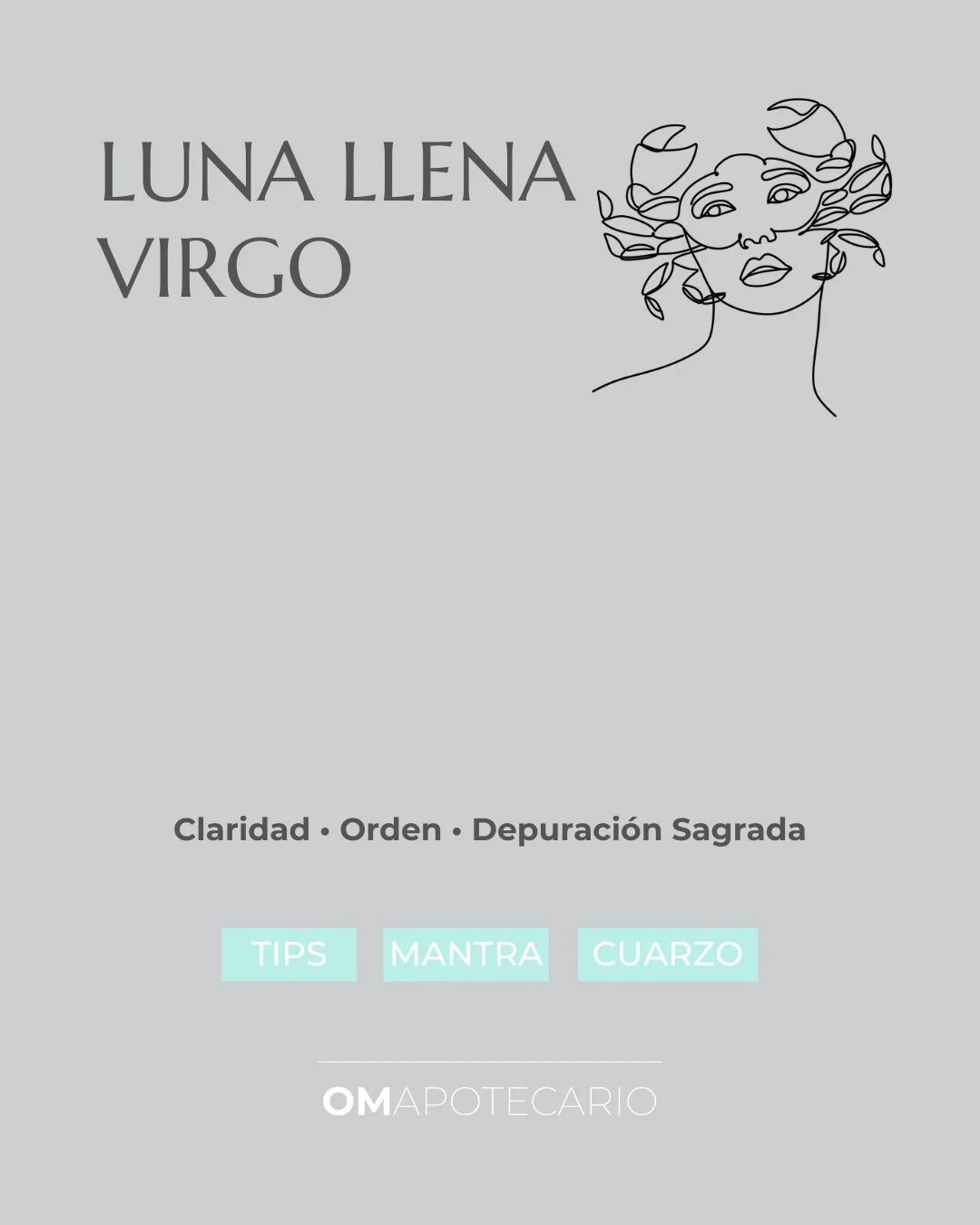 Esta Luna Llena en Virgo no viene a exigirte&hellip; viene a ordenarte con amor. ✨
Es una energ&iacute;a de claridad: te muestra qu&eacute; rutina, h&aacute;bito o din&aacute;mica ya no es sostenible&mdash;para que ajustes sin culpa y vuelvas a lo si