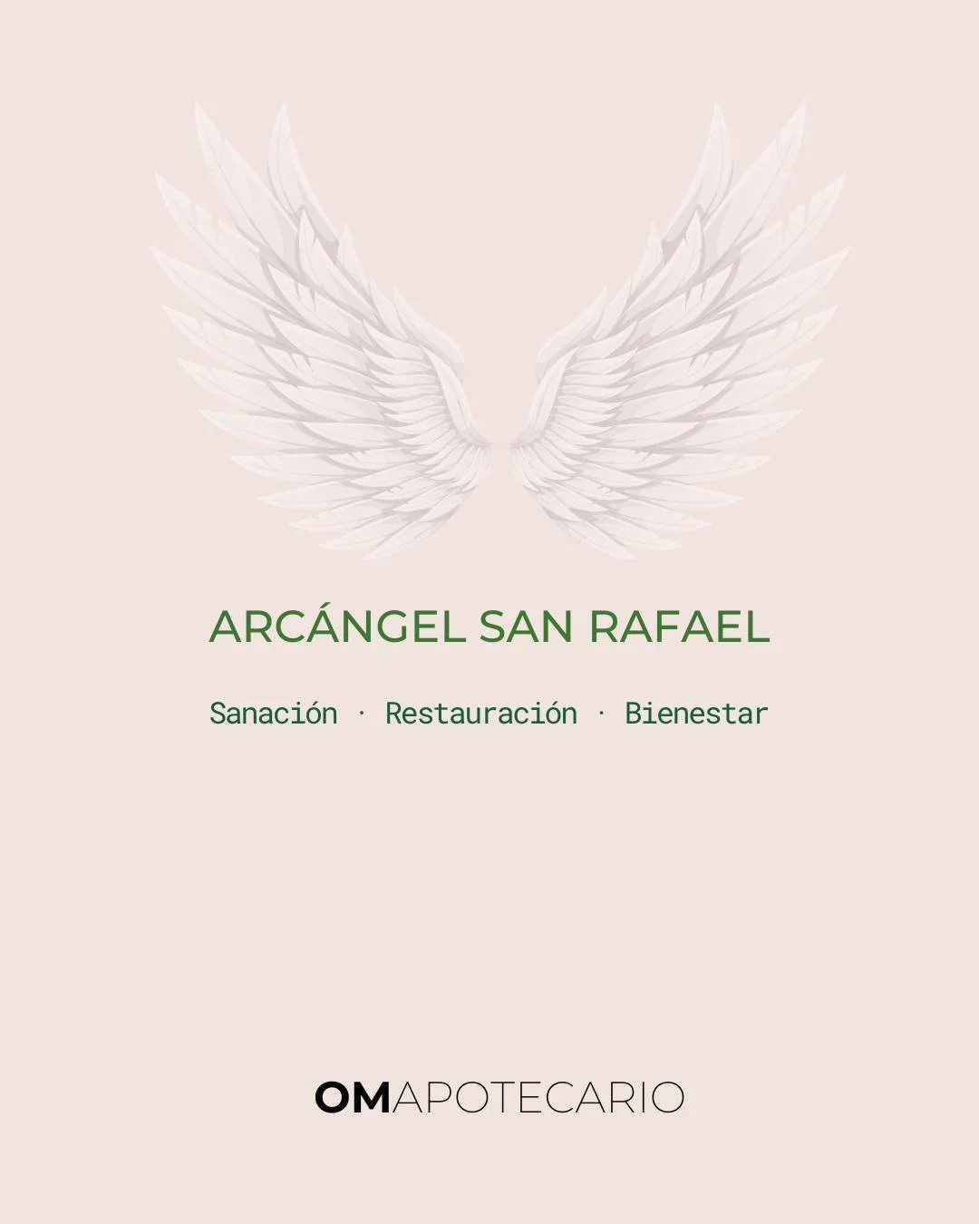 Arc&aacute;ngel Rafael se siente como un b&aacute;lsamo: te devuelve al cuerpo y a la calma. 🌿✨
Si hoy necesitas restaurarte, inv&oacute;calo con un ritual simple: respira profundo con eucalipto (apertura) o lavanda (relajaci&oacute;n), sost&eacute;