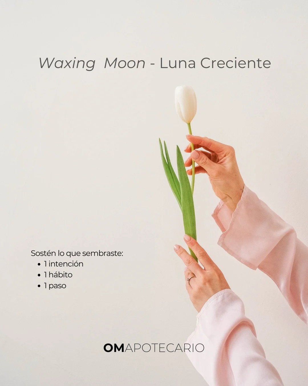 Luna creciente = sostener lo que sembraste. ✨ Hazlo simple: una intenci&oacute;n, un h&aacute;bito, un paso.
Pregunta: &iquest;Qu&eacute; vas a repetir esta semana para que tu meta crezca?
EN: Waxing Moon = support what you planted. ✨ Keep it simple: