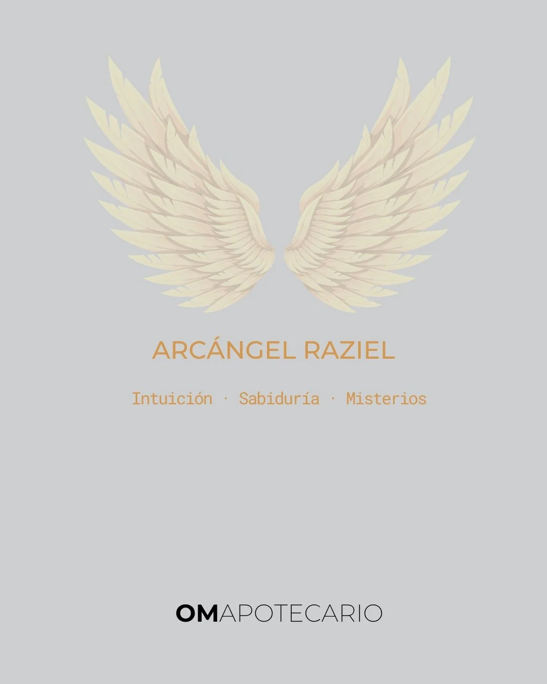 Arc&aacute;ngel Raziel trae luz a lo que parec&iacute;a confuso: intuici&oacute;n, entendimiento y claridad espiritual. ✨

Inv&oacute;calo cuando necesites interpretar se&ntilde;ales, confiar en tu sabidur&iacute;a interna y ver tu pr&oacute;ximo pas