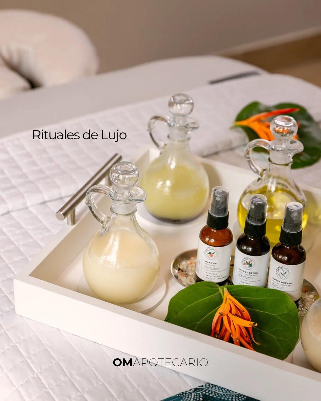Elevate your daily rituals with the art of scent.
Each mist is designed to transform your mood, restore balance, and create a moment of intentional calm.

From deep rest to energetic renewal,
this is aromatherapy&mdash;elevated.

---...---
Eleva tus 