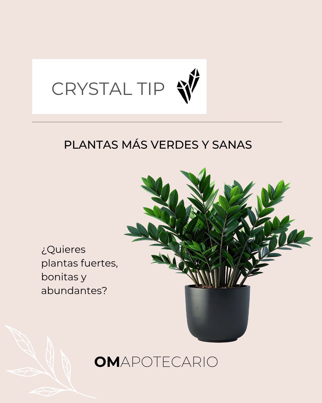 &iquest;Quieres plantas m&aacute;s verdes, fuertes y abundantes? 🌱✨
La turmalina verde se asocia con energ&iacute;a de fertilidad y crecimiento: una forma linda de intencionar tus plantas mientras las cuidas con lo b&aacute;sico (luz, agua y amor).
