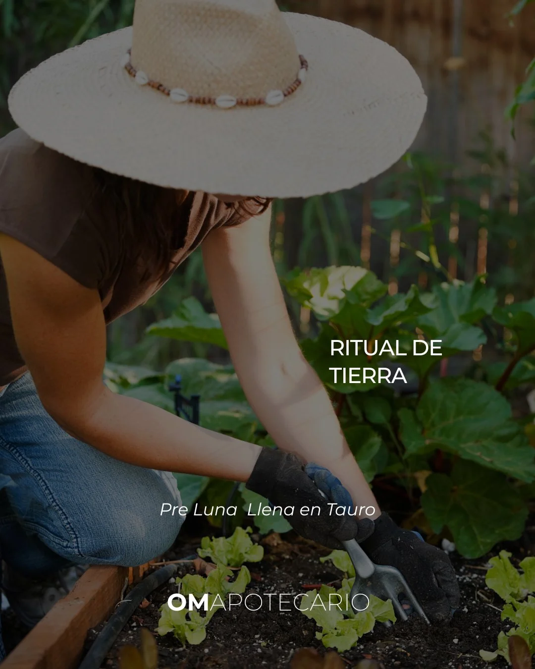 Ritual de Tierra (60 segundos) 🌿
1.	Mano al pecho.
2.	Inhala 4 &middot; exhala 6 (x3).
3.	Di en voz baja: &ldquo;Estoy segura/o. Me sostengo. Recibo.&rdquo;
Ma&ntilde;ana la Luna Nueva en Tauro nos invita a sembrar desde la calma y la estabilidad. ✨