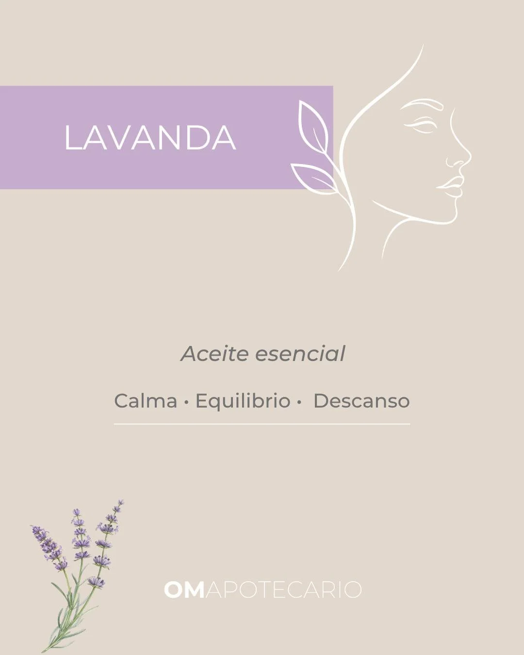 Lavanda (Lavandula angustifolia) 💜🌿
Un aceite esencial cl&aacute;sico para calmar la mente, bajar el estr&eacute;s y apoyar el descanso.

✨ &Uacute;salo as&iacute; (simple):
&bull; Inhala 3 veces lento cuando sientas &ldquo;ruido&rdquo; mental
&bul