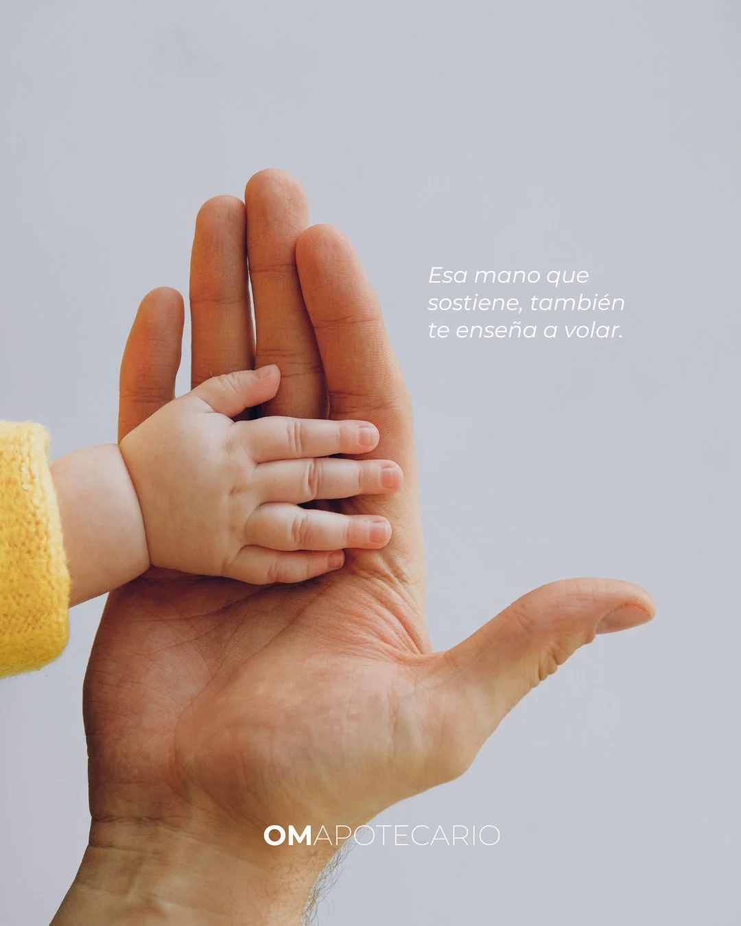 Honro a quien sostuvo&hellip; y hoy me dio alas.

Honro la presencia que protegi&oacute;, gui&oacute; y ense&ntilde;&oacute; con hechos &mdash;aun en silencio.

Y tambi&eacute;n, honro la ausencia que me oblig&oacute; a aprender fortaleza, l&iacute;m