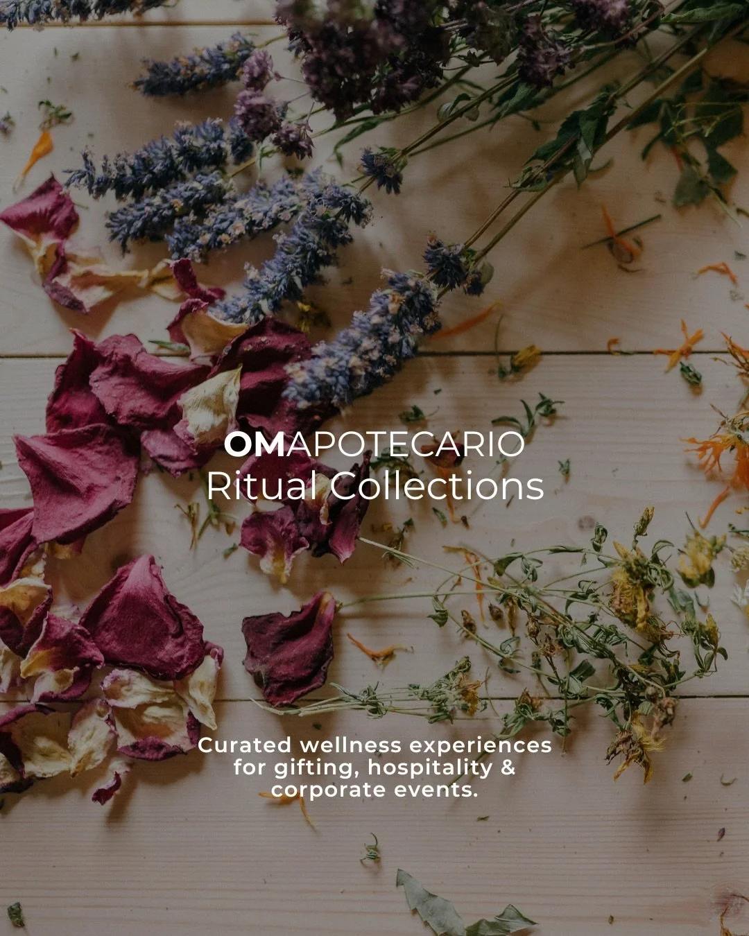 ✨ More than a gift. A wellness experience.
⠀⠀⠀⠀⠀⠀⠀⠀⠀
Custom Ritual Collections thoughtfully curated for corporate gifting, hospitality, spa partnerships, and meaningful occasions.
⠀⠀⠀⠀⠀⠀⠀⠀⠀
Designed to inspire connection, intention, and self-care.
⠀⠀