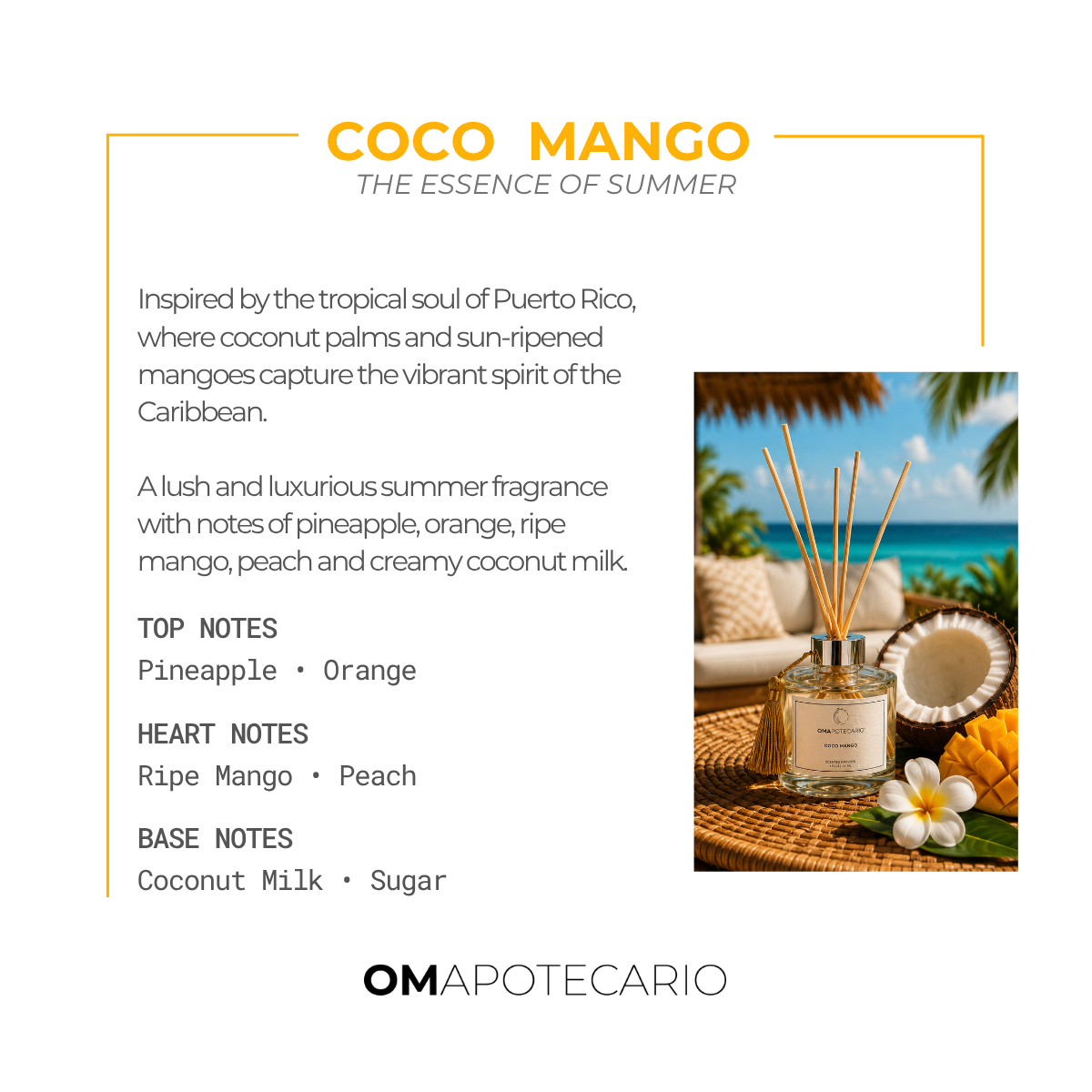 COCO MANGO CARD.png (Copy)